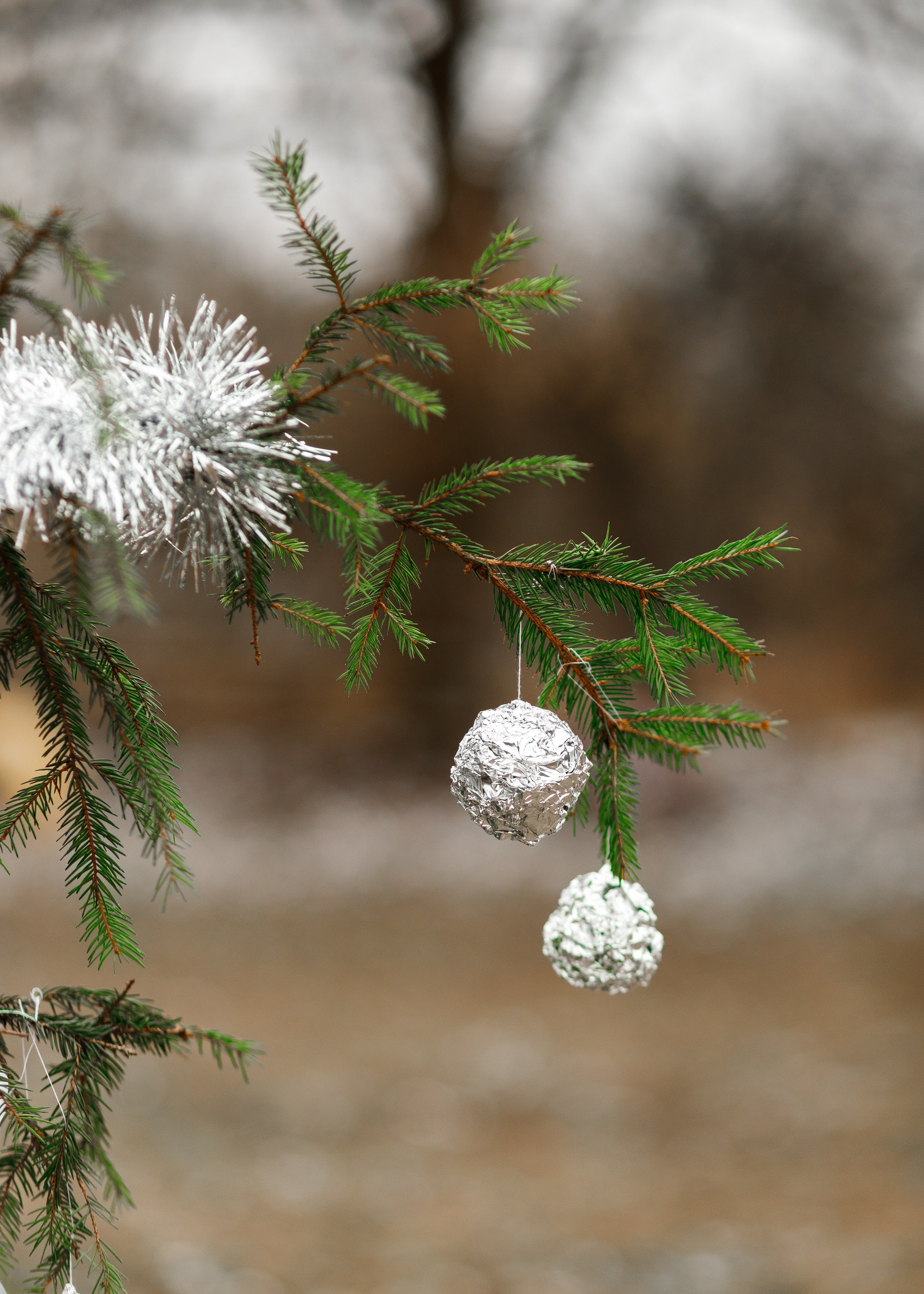 Winter stable. Kaja | fotograf psów we Wrocławiu