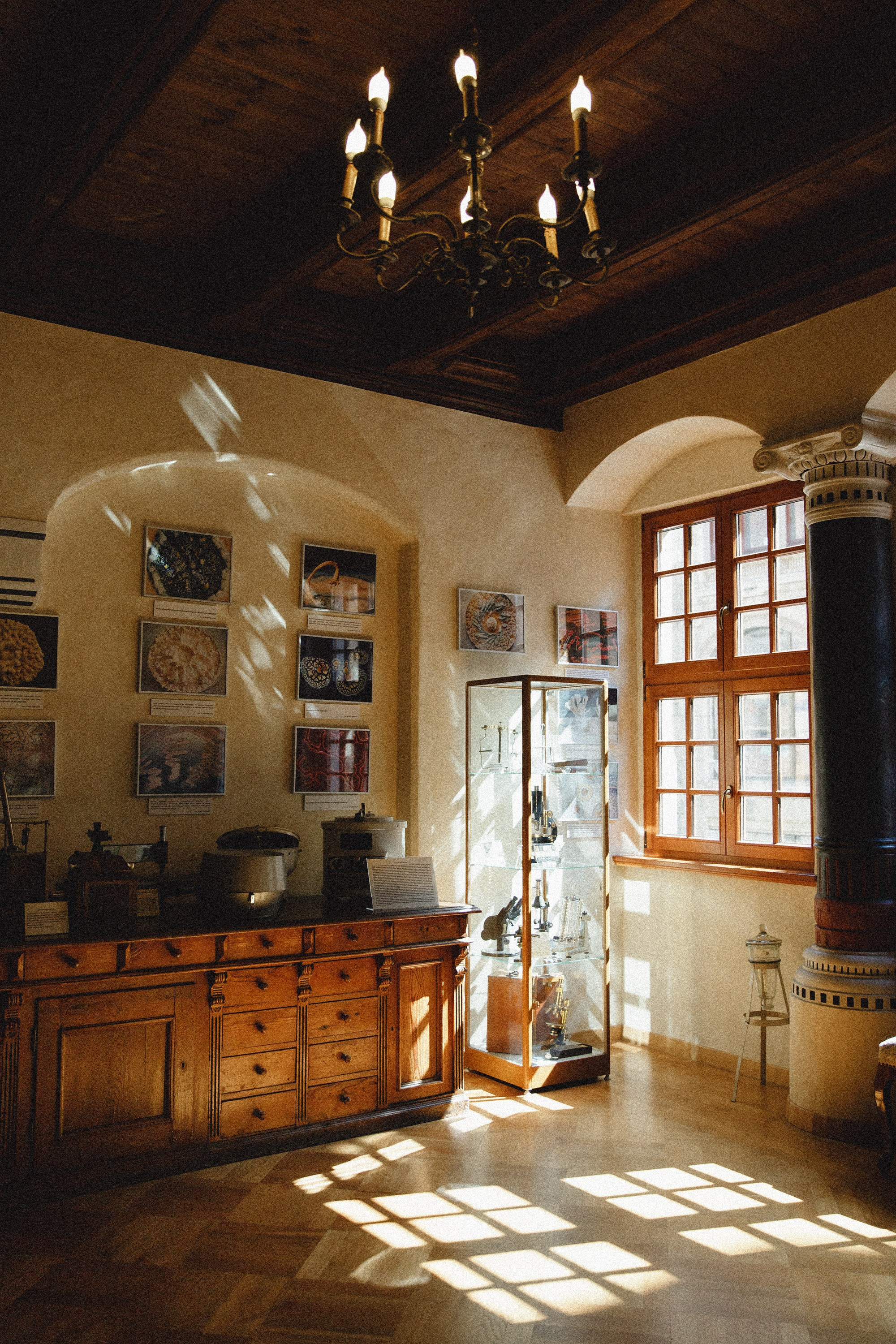 Museum of farmacy in Wroclaw. Kaja | fotograf we Wrocławiu | ludzie i psy