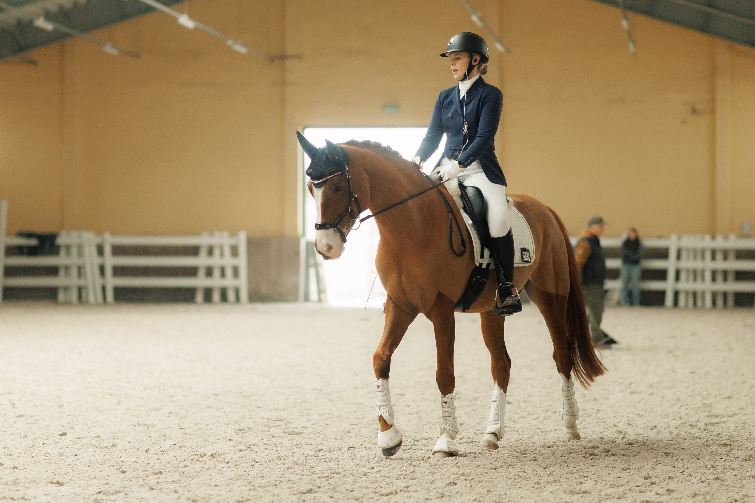 Fotografia koni Wrocław \ ujeżdżenie, Partynice. Kaja | fotograf we Wrocławiu | ludzie i psy