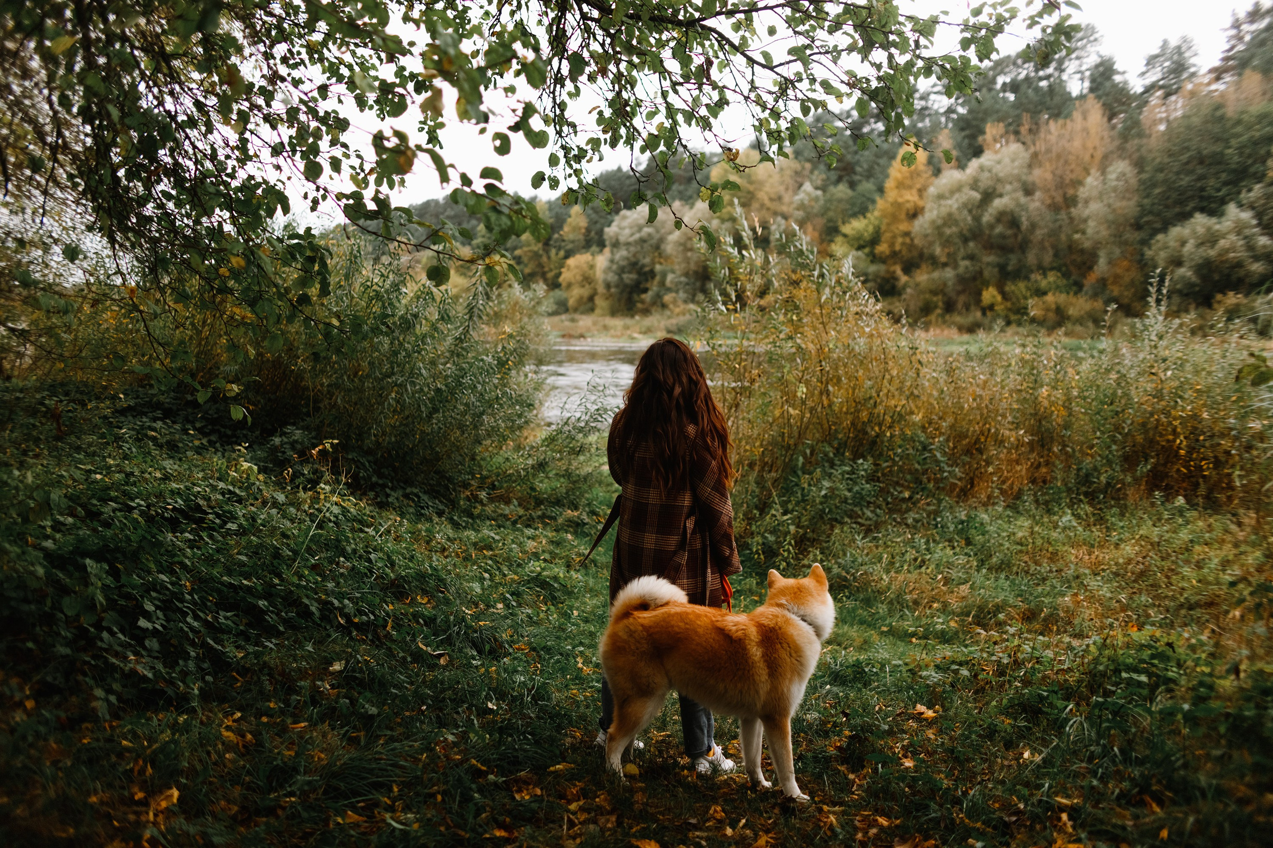 Maria & Kenji. Kaja | fotograf we Wrocławiu | ludzie i psy