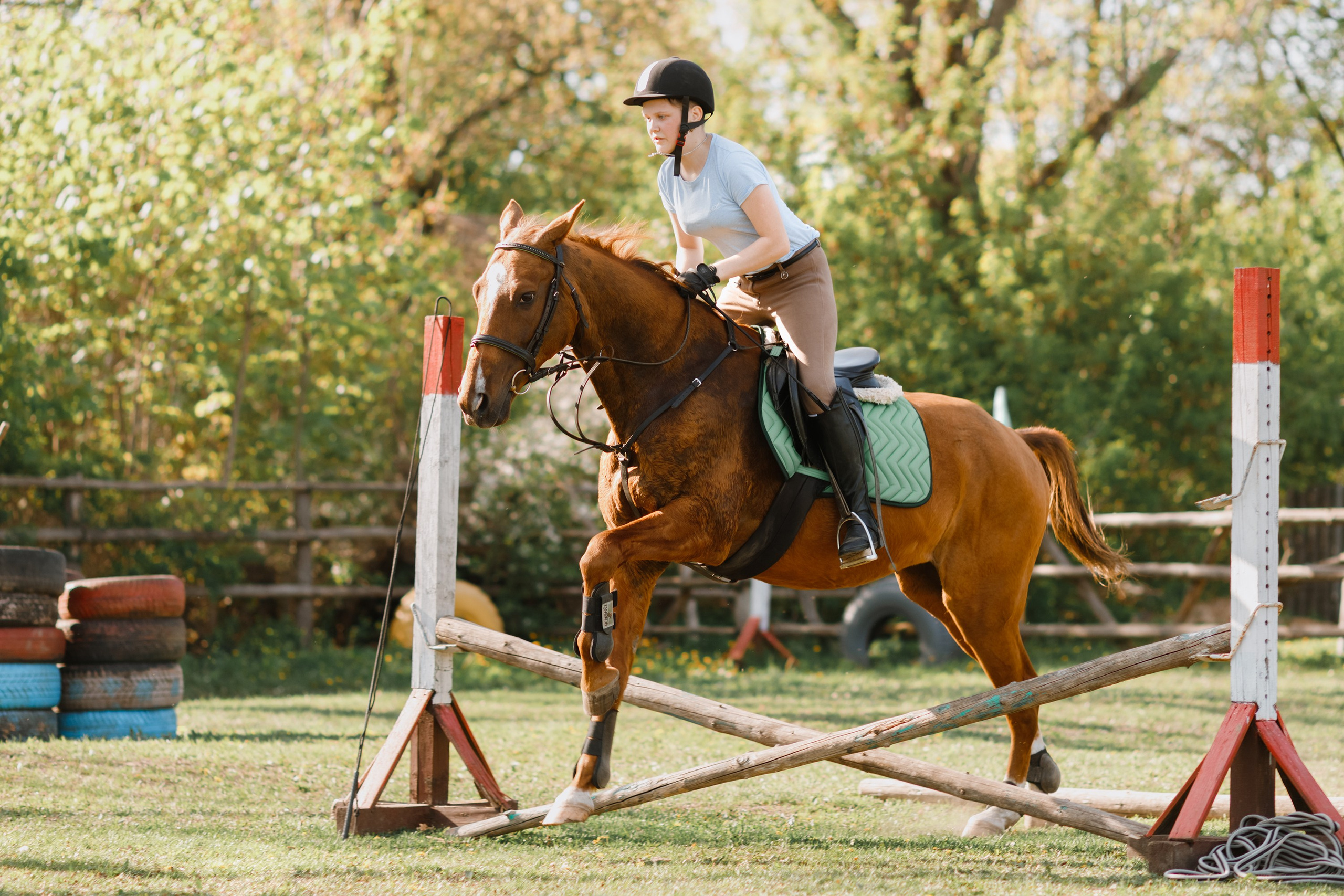 Girls & horses, summer. Kaja | fotograf psów we Wrocławiu