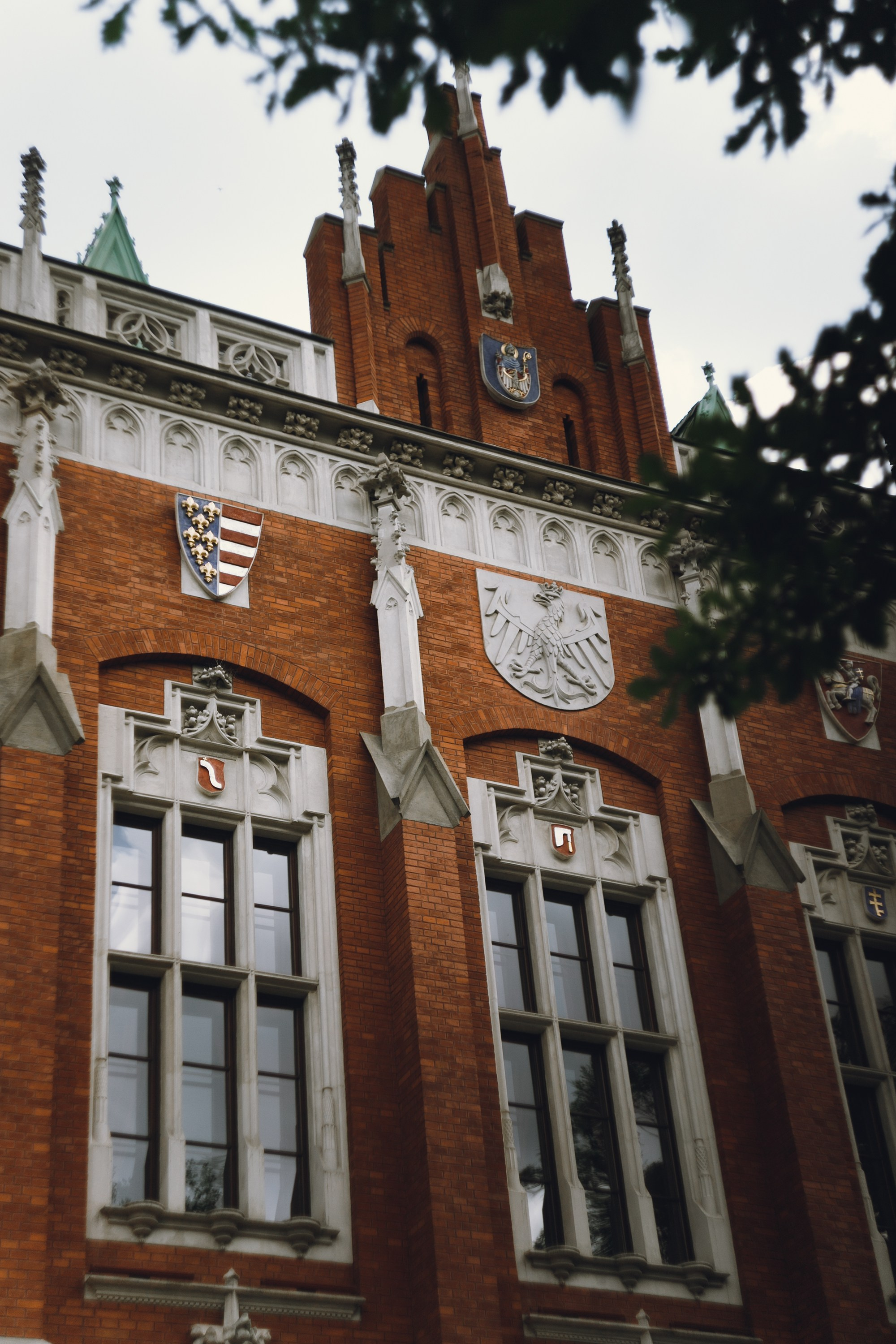 Krakow. Kaja | fotograf psów we Wrocławiu