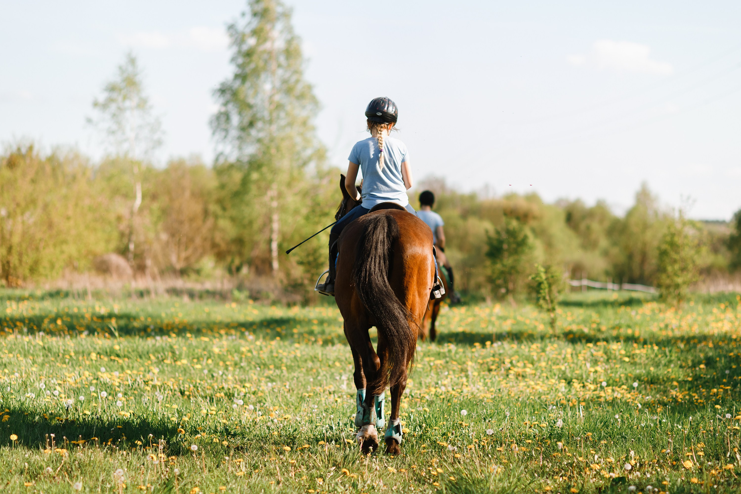 Girls & horses, summer. Kaja | fotograf psów we Wrocławiu