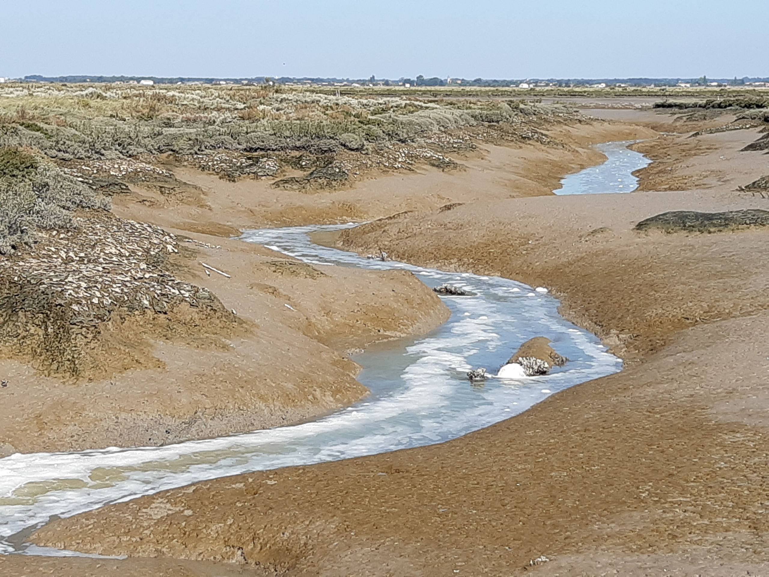 Materials collection and inspiration. Anne-Flore REY, Artist — Painter and Sculptor in TOULOUSE (FR)