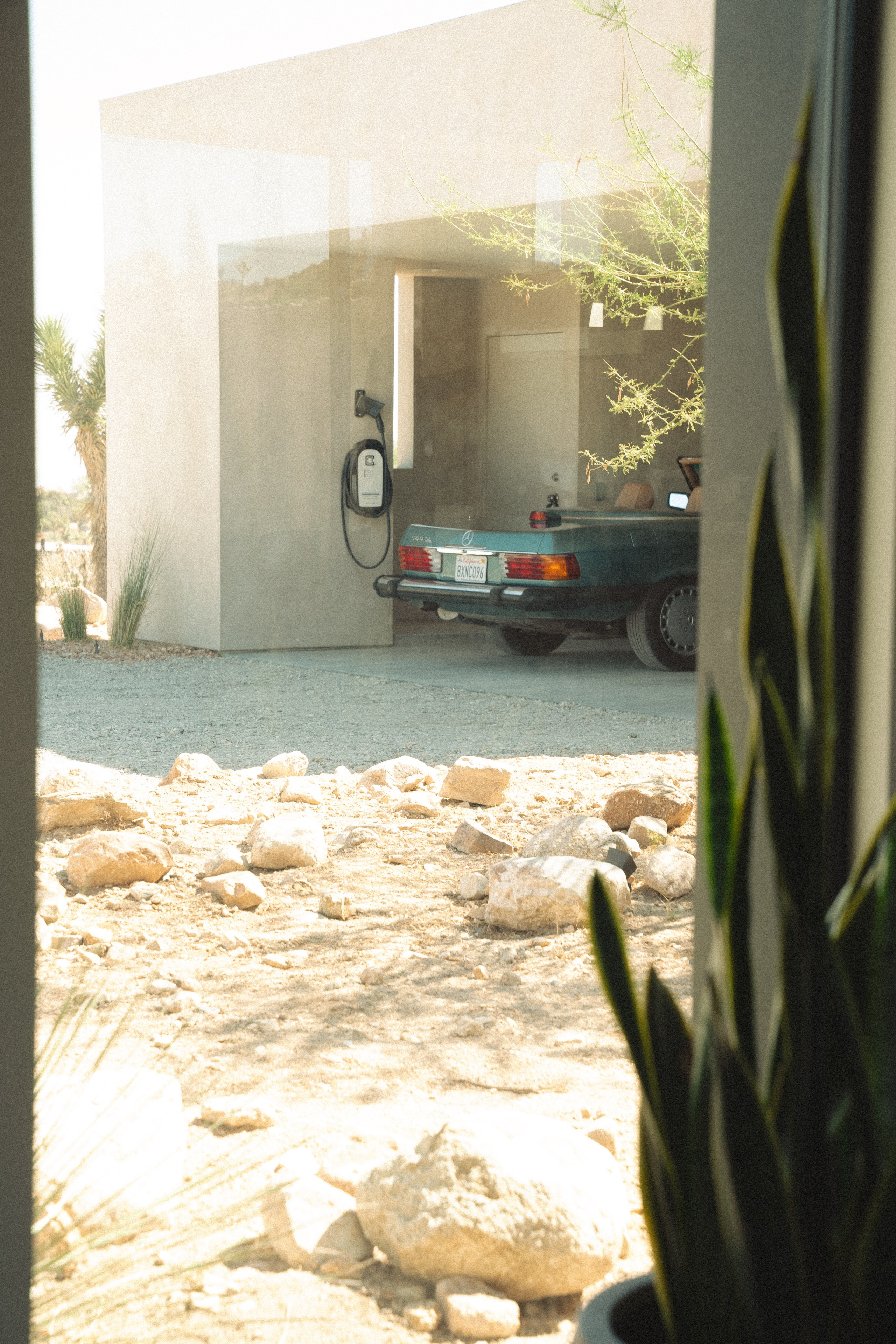 Joshua Tree wedding. Joshua tree elopement. Wedding for 2. Wedding photographer Joshua Tree. Elopement photographer in Joshua Tree. Couples photographer in Joshua Tree. Elopement in Joshua Tree