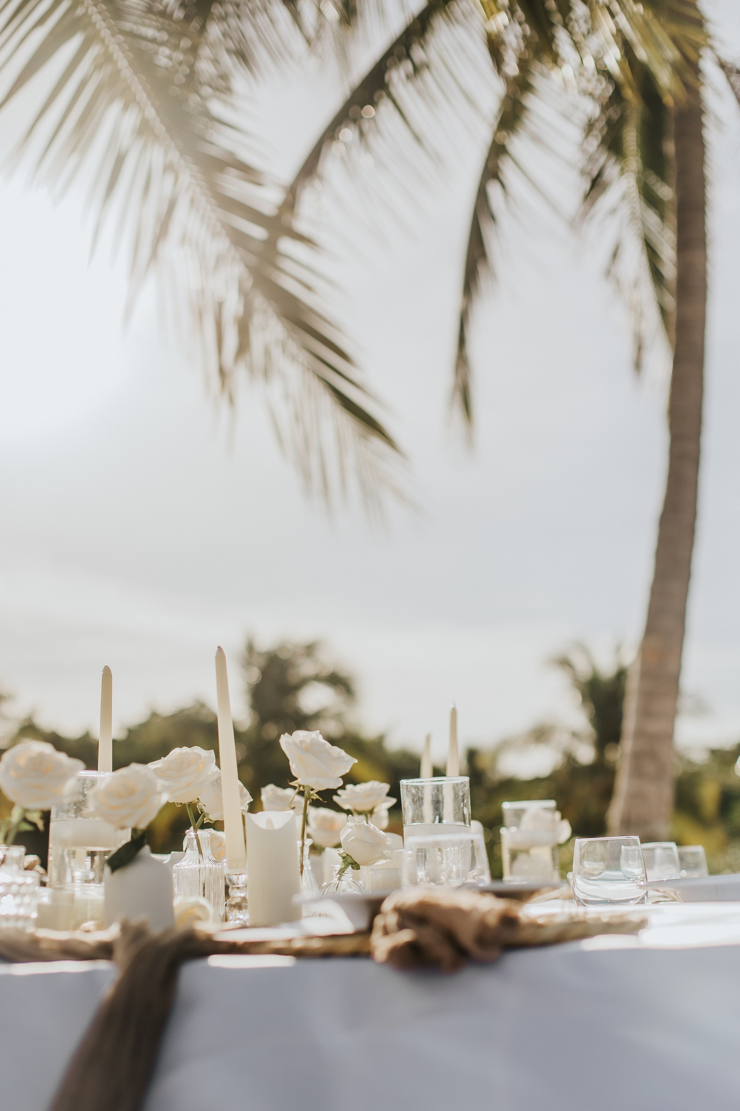 Heather & Jose wedding. Alya Leto Photographer