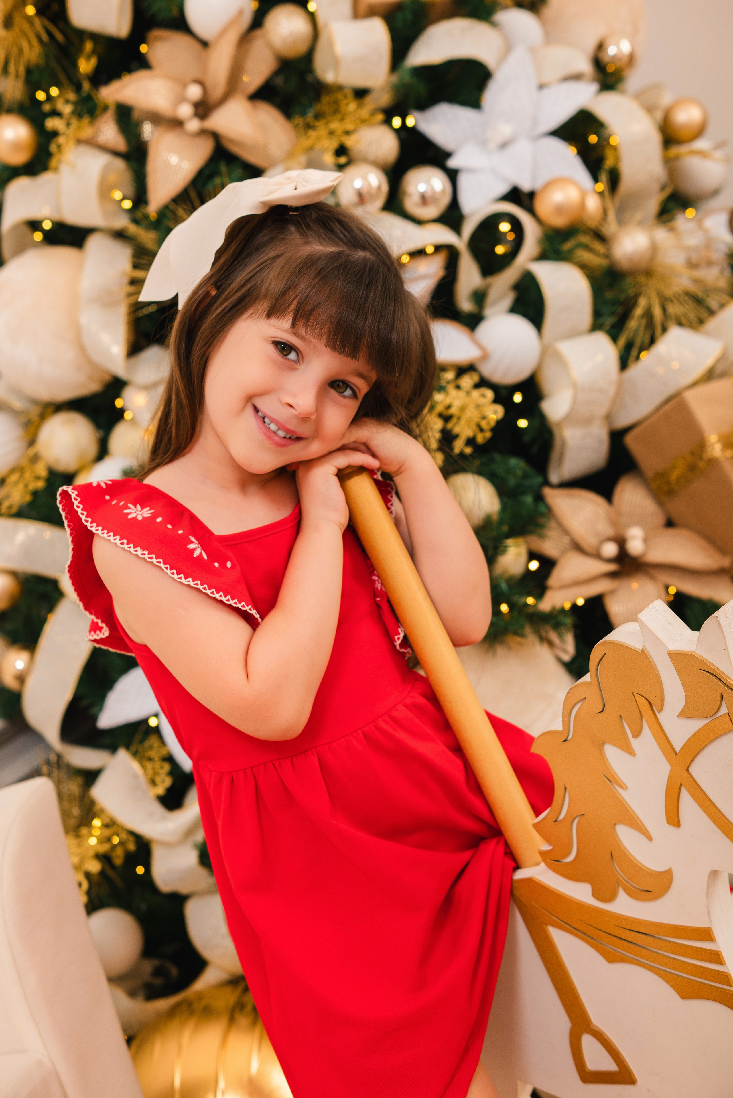 Natal Encantado — Família Torezani. Fotografo de casamentos e famílias no Espirito Santo — Marllus Milanez