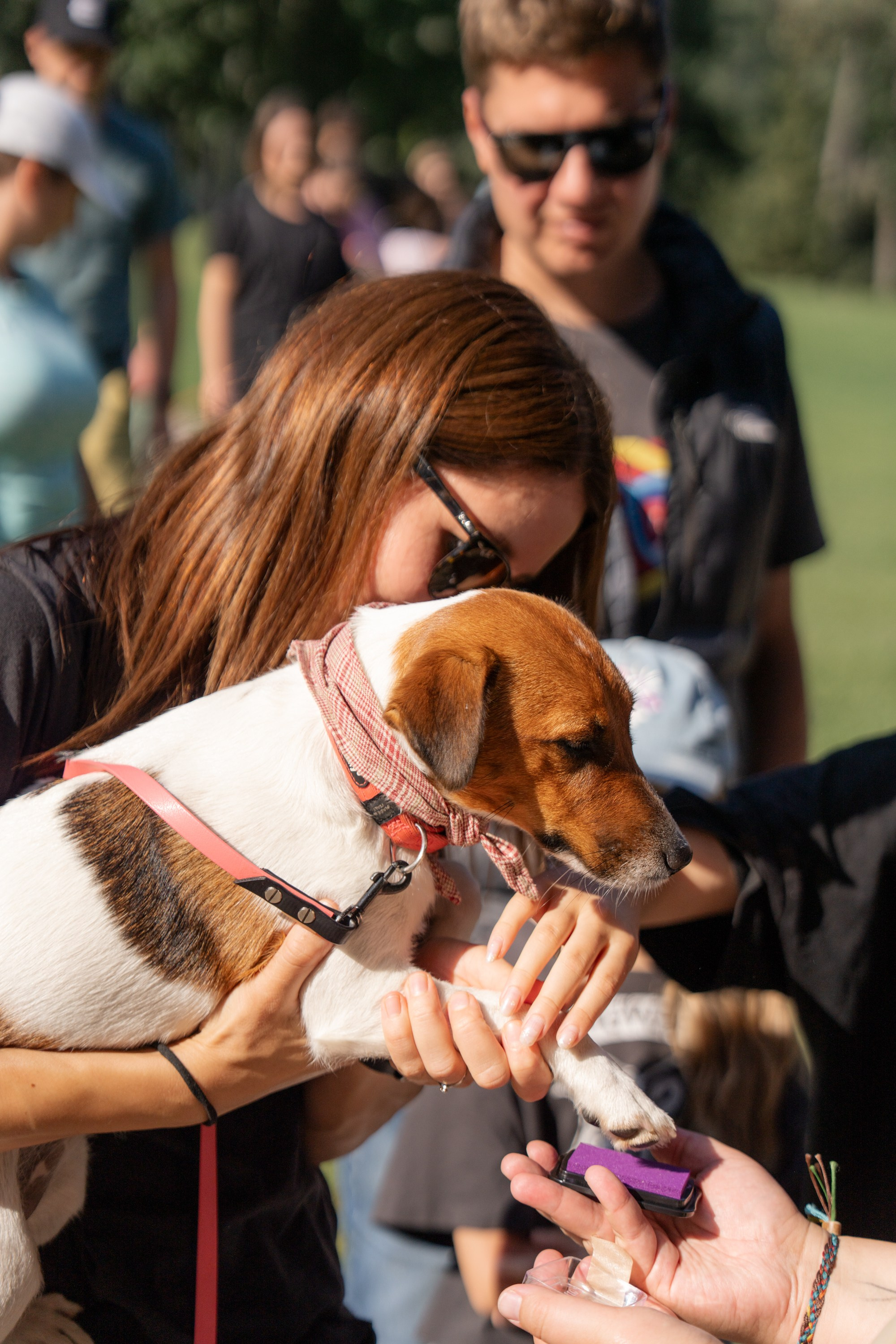 Heppi Dogo fest 2025. Vita Klimaševska ○ Fluffy Soulmate Photography
