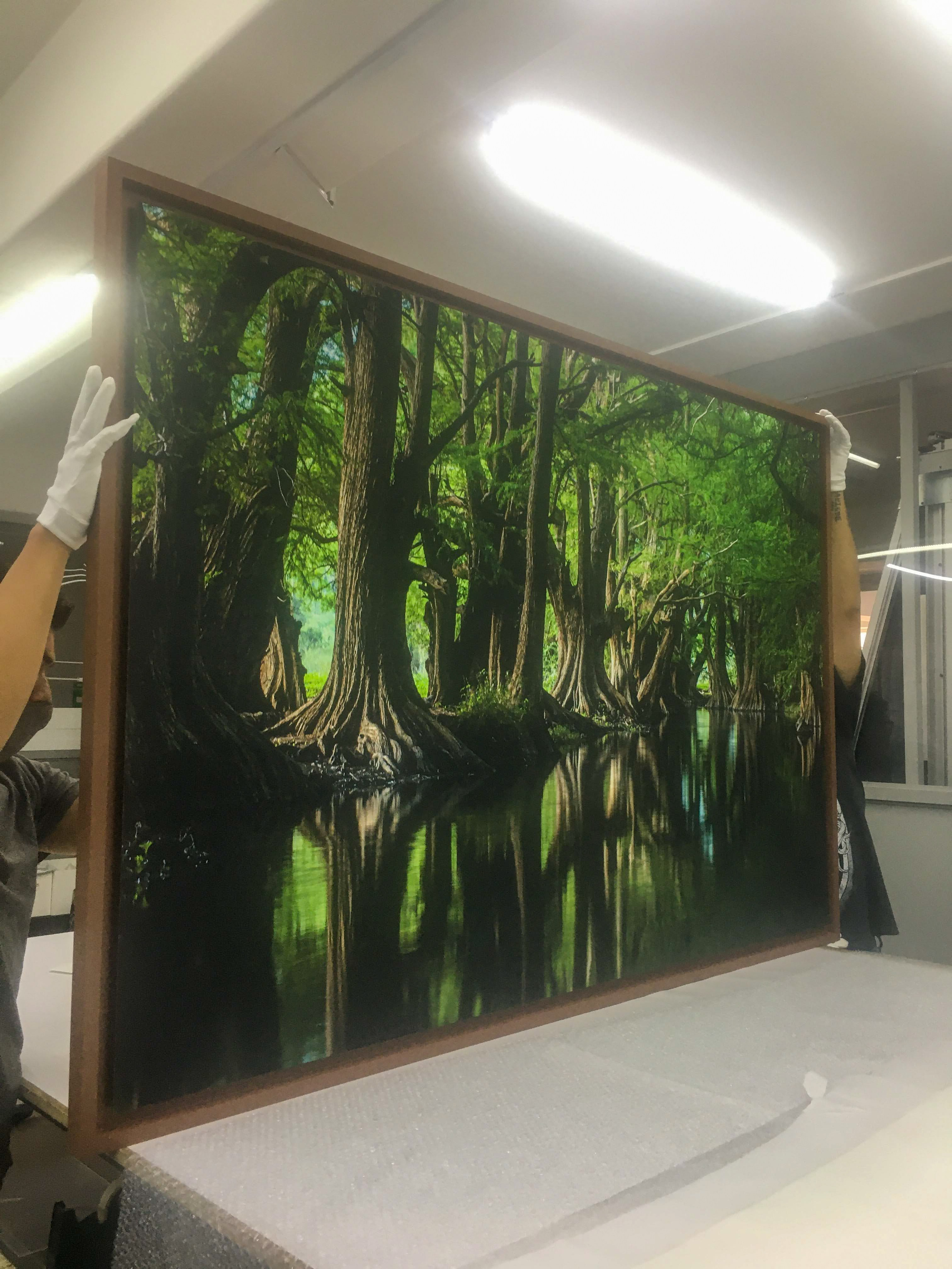 Shop prints. Nirmal Ramo Photographer