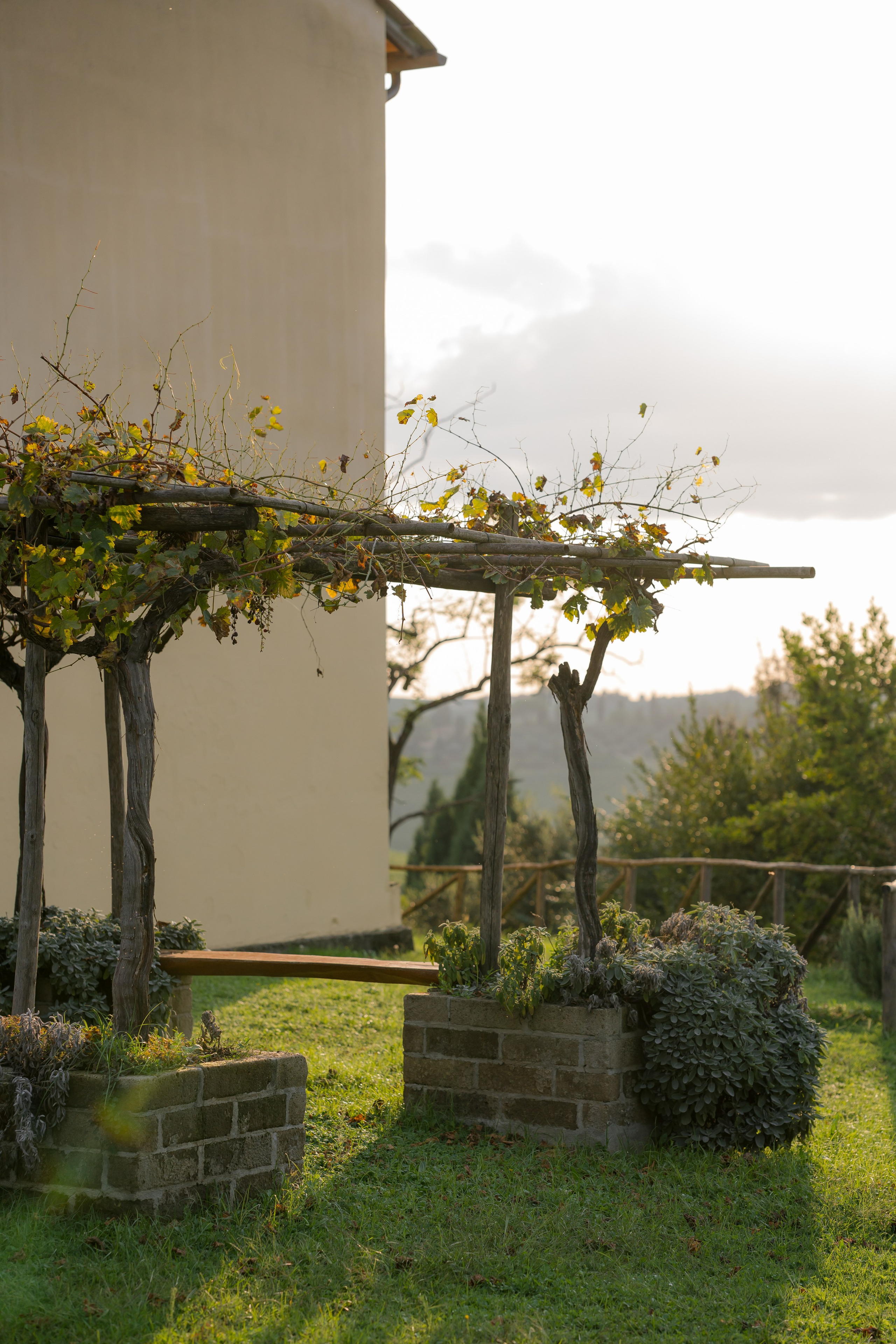 Dom&Ally. Весільний фотограф Вікторія Саврук