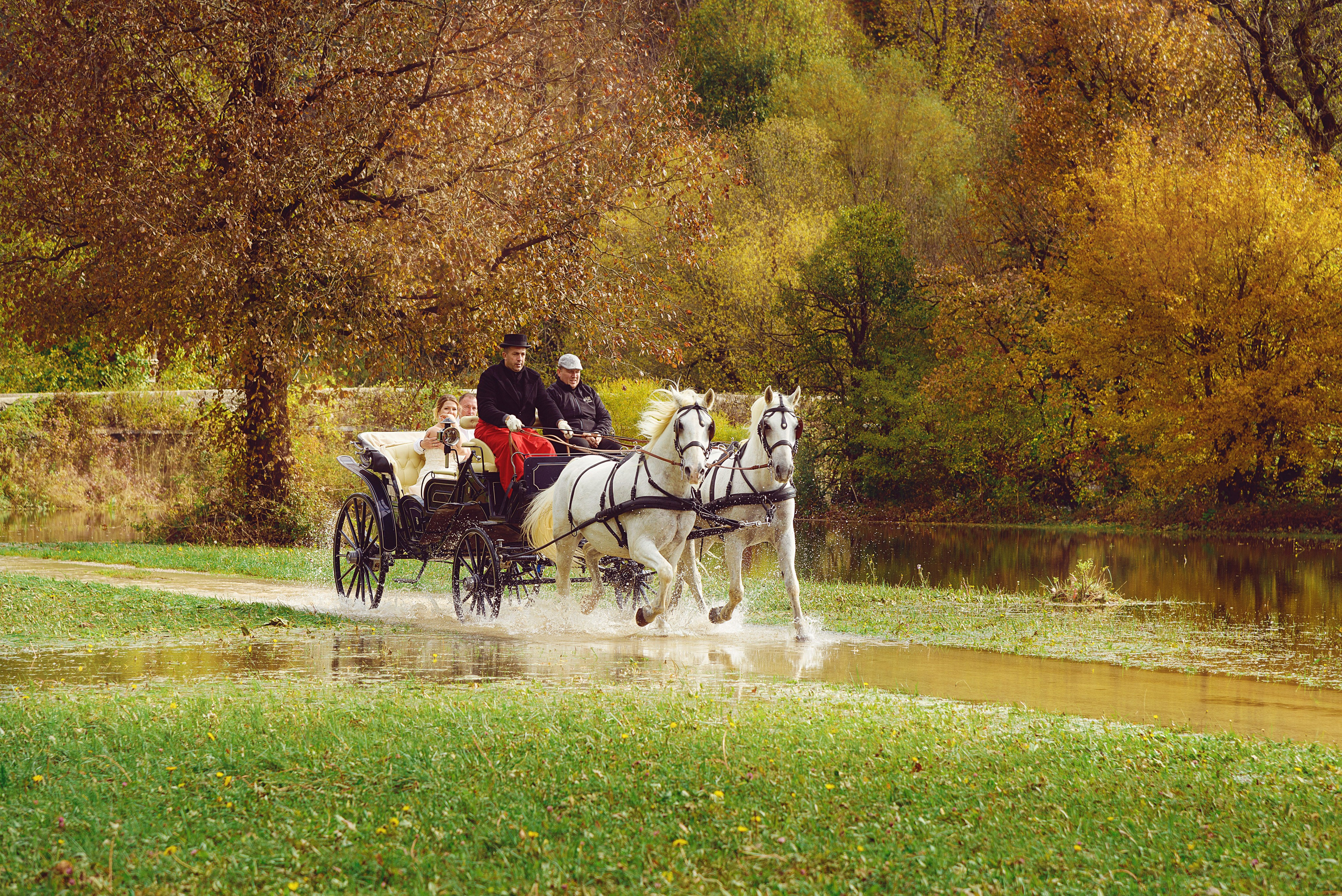 Wedding Photographer in Slovenia. Wedding and Family Photographer in Slovenia