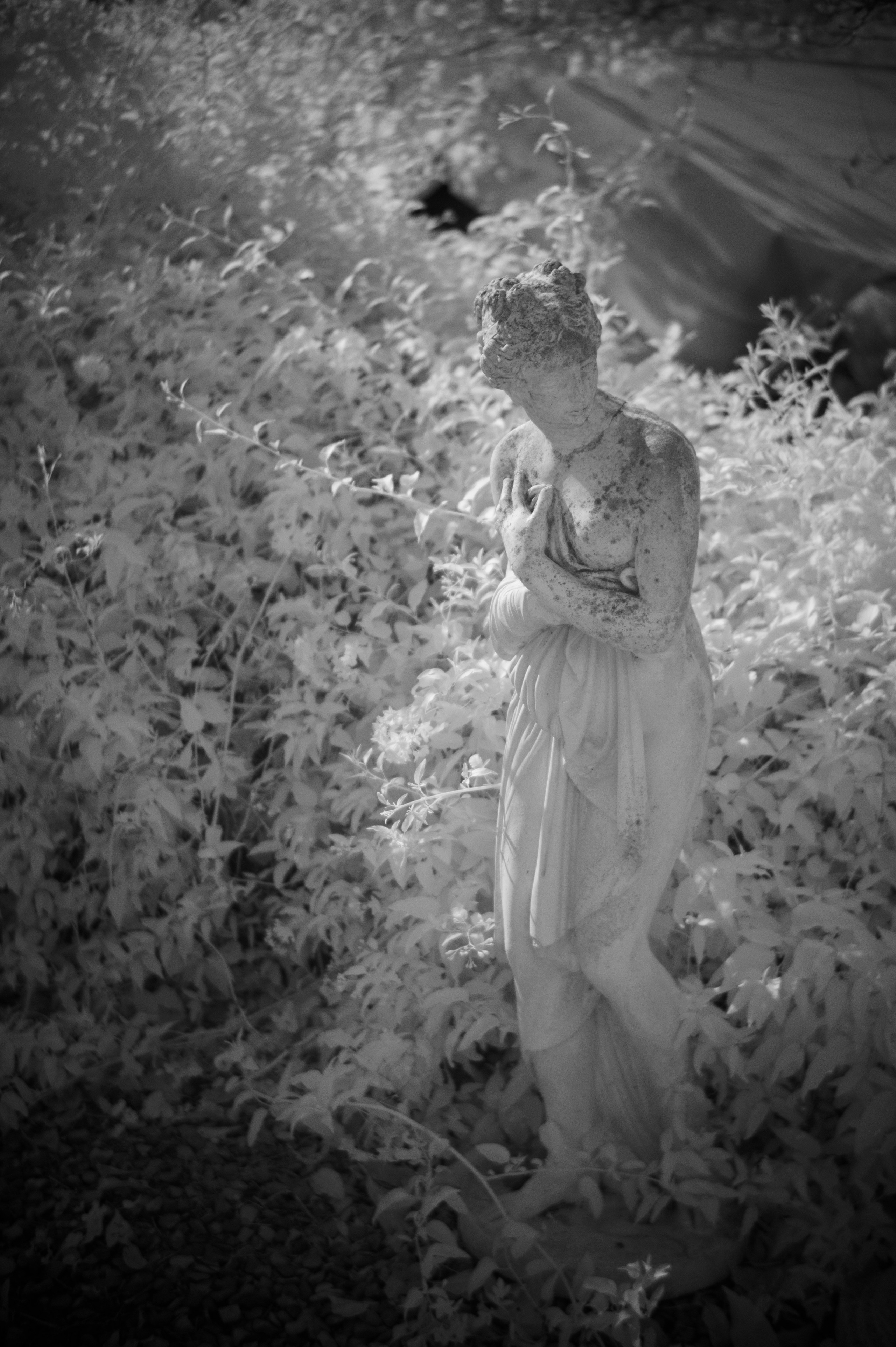 Fotografia a infrarosso