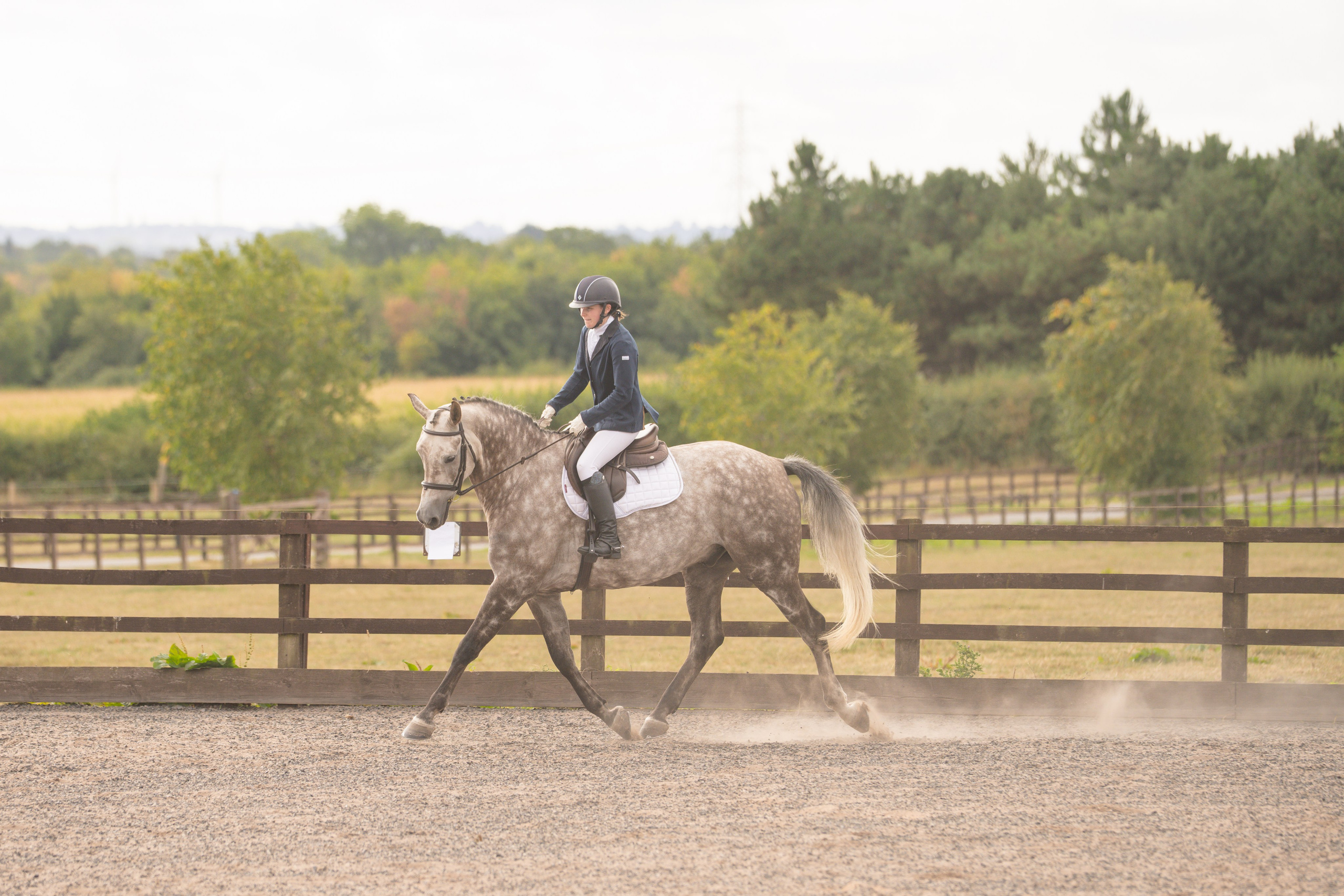 Show Jumping Photography in Leicestershire | Equine Action Shots by El. Leicestershire Equine Photography by El | Authentic Equine Portraits & Events