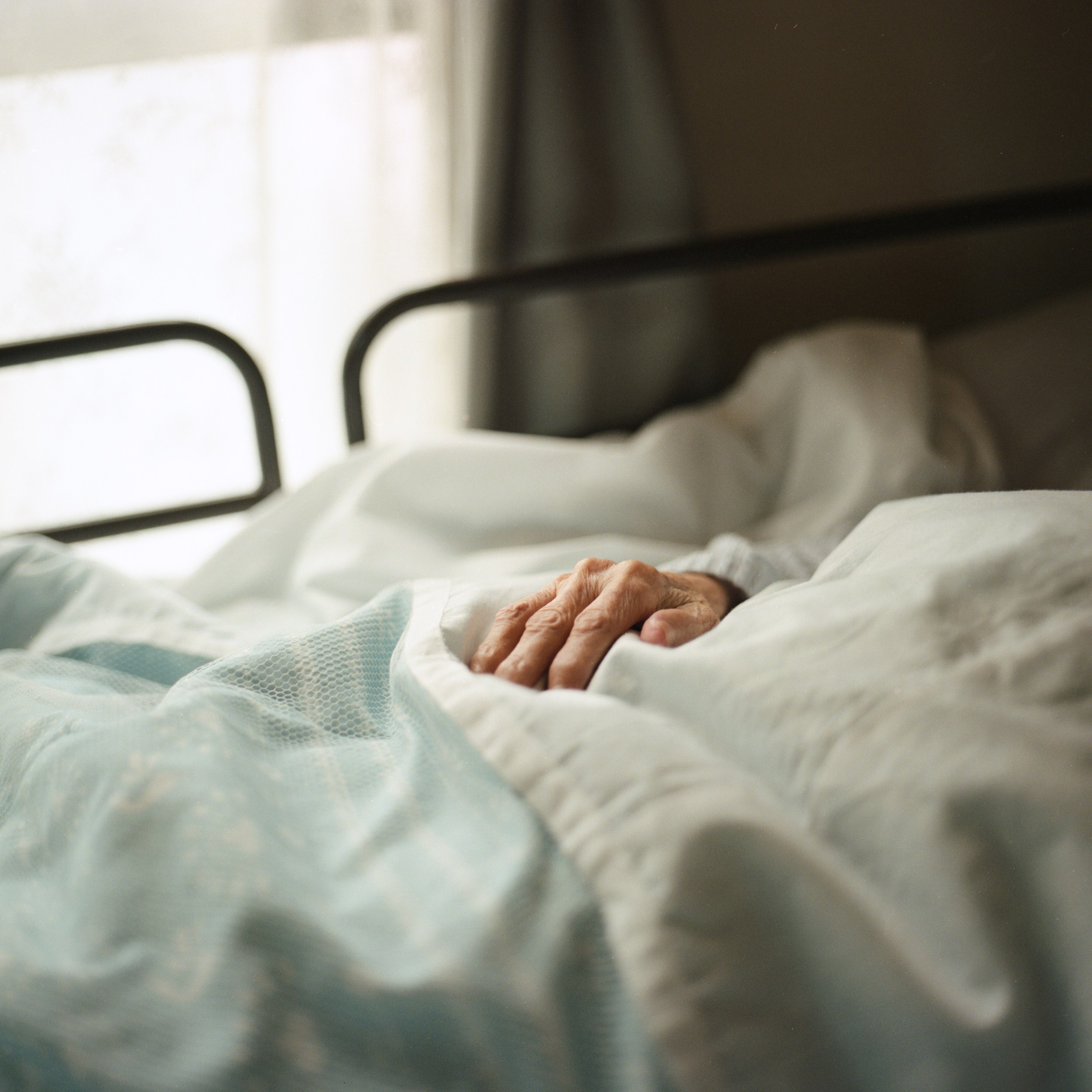 祖母とのヴァナキュラー. MT