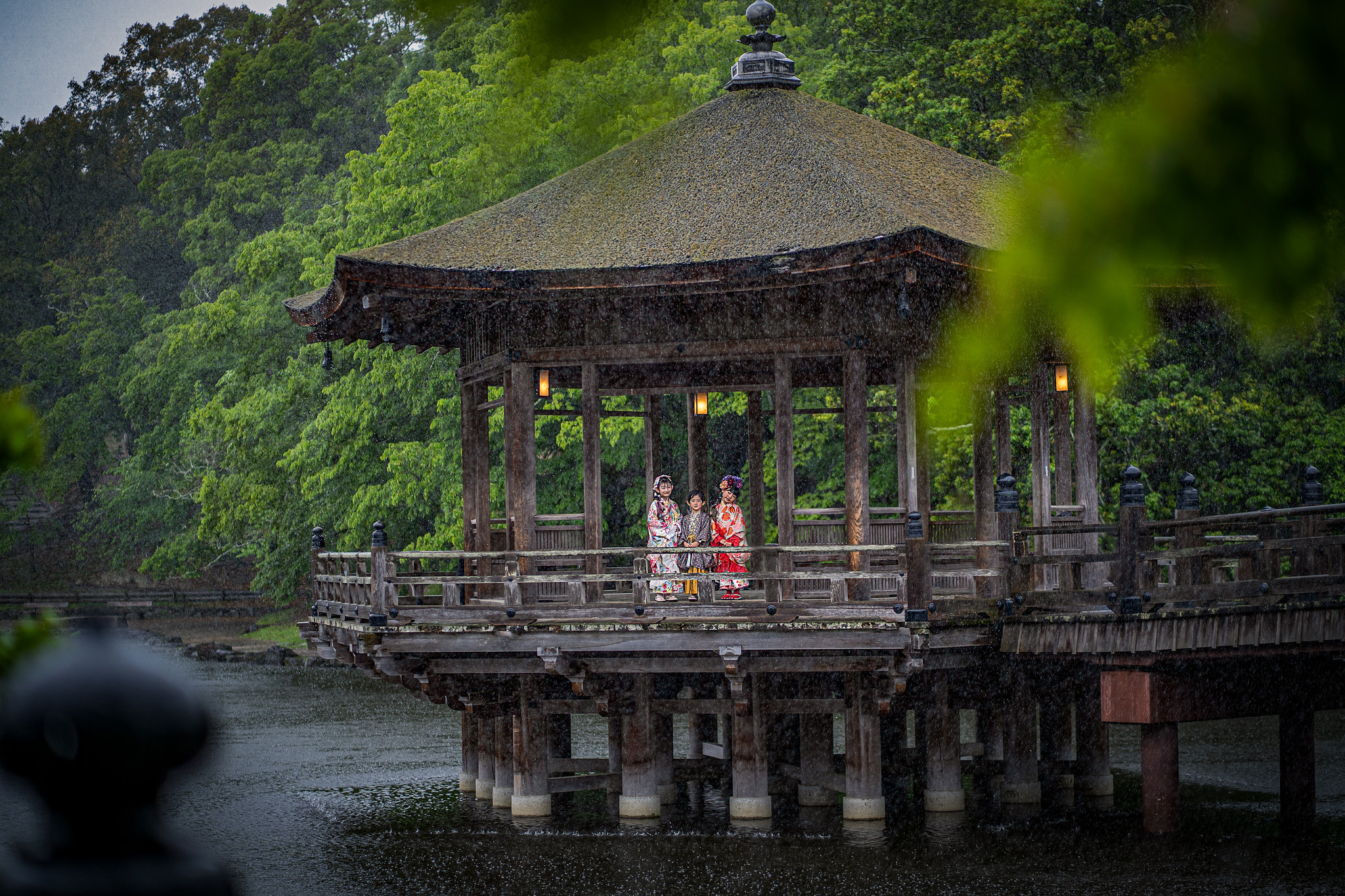 HamNiko Japan. Vancouver Kids Photographer