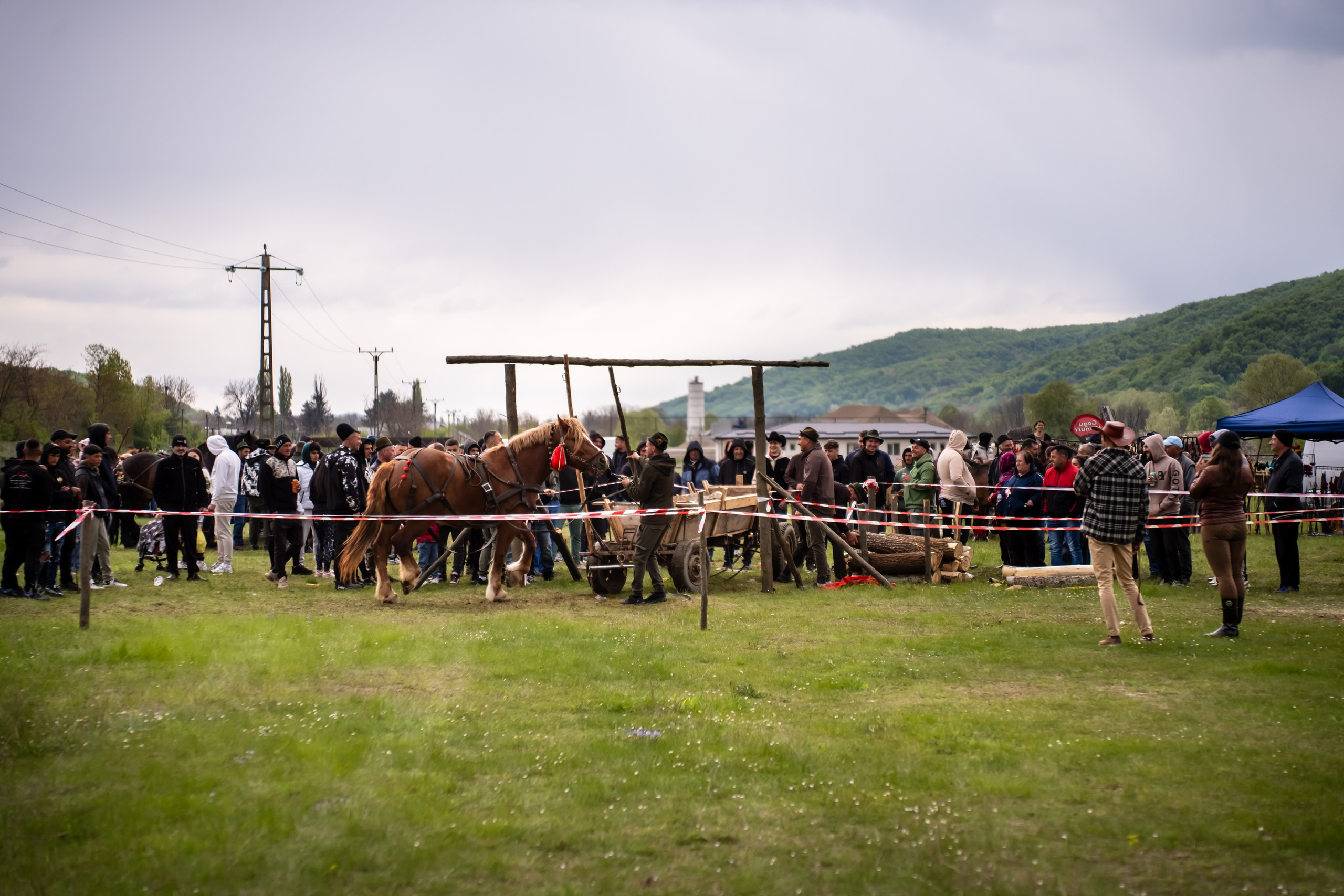 Concurs Ecvestru Vărbilău ediția a 4-a. Mihai Alexandra Events