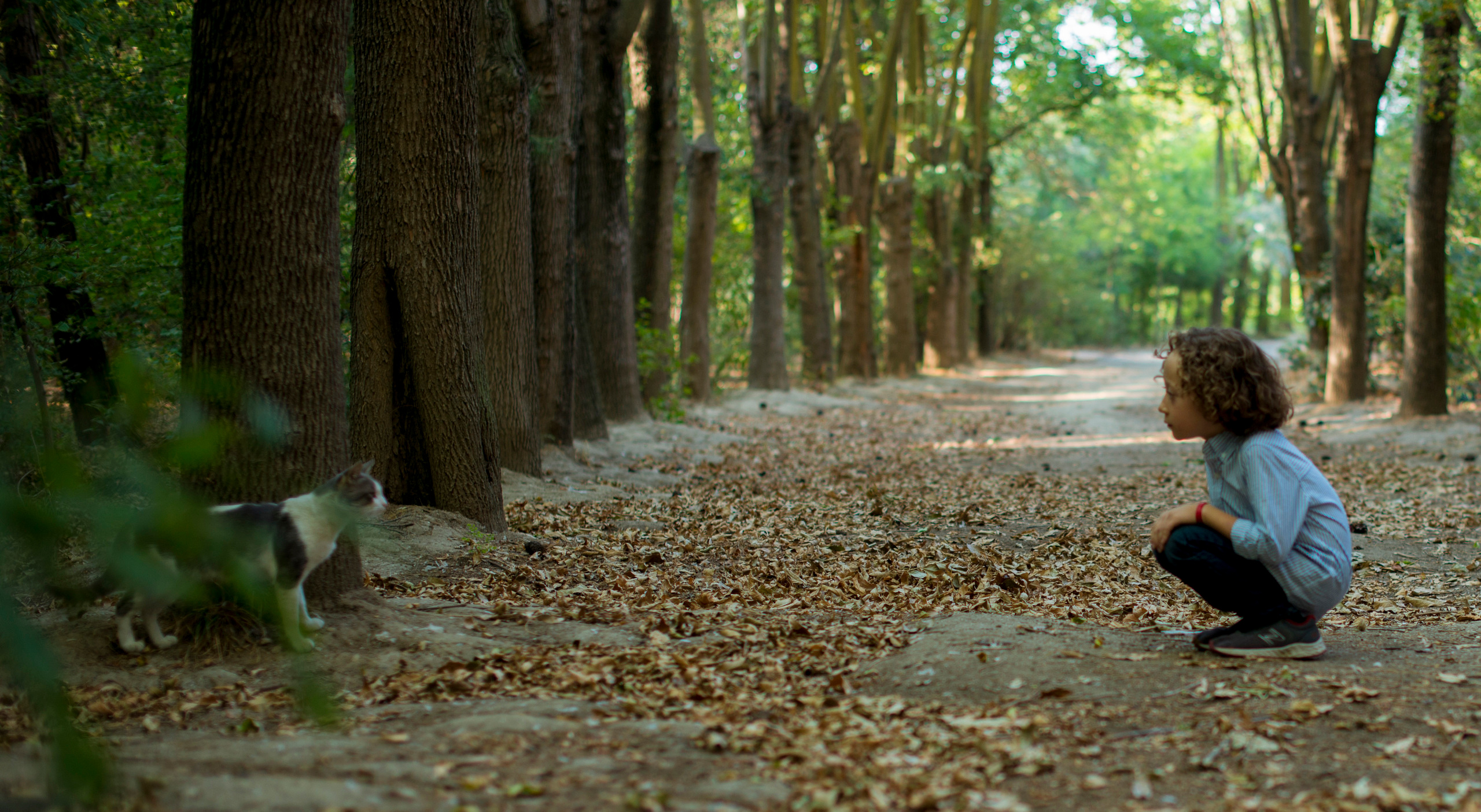 Счастливы вместе. Наргиз Сулейманова - Фотограф в Азербайджане