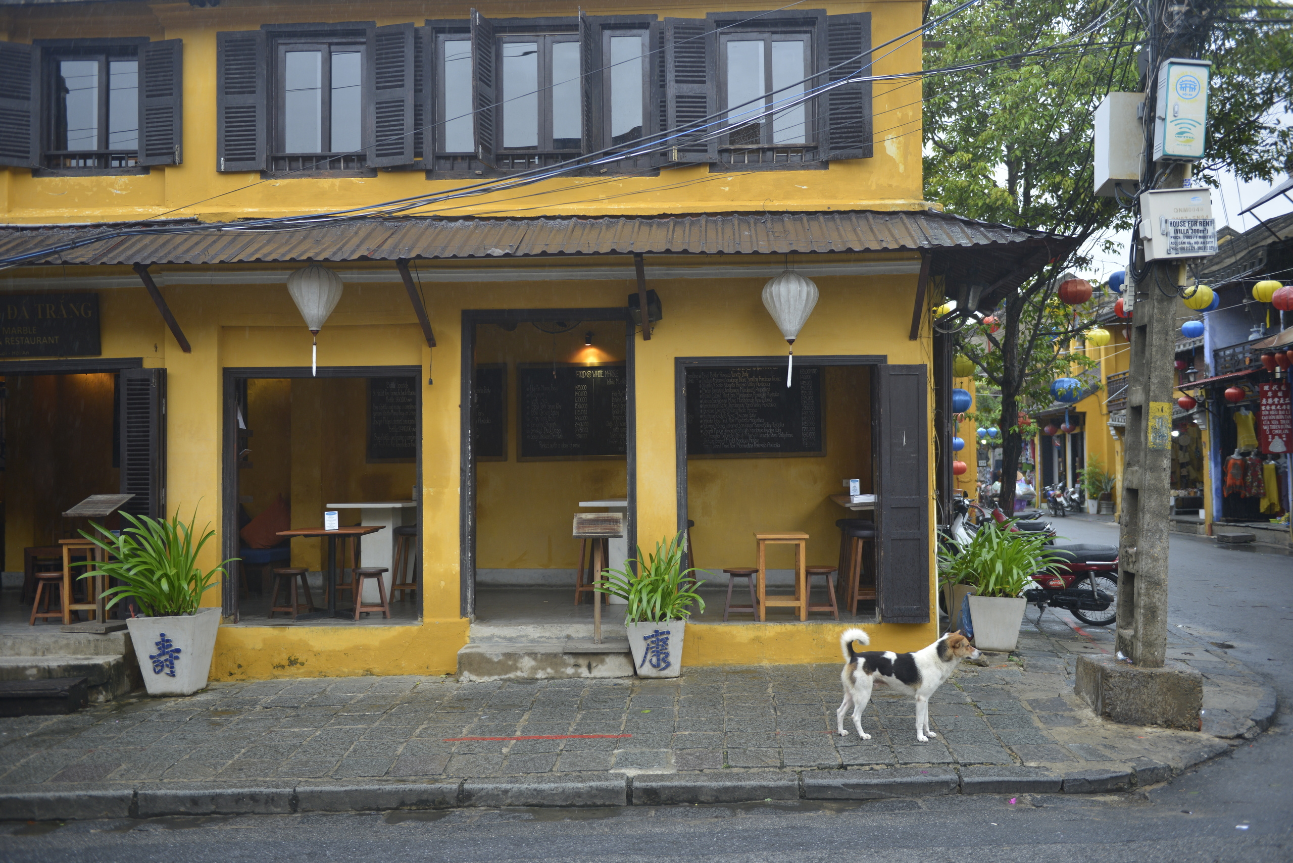 Vietnam. Наргиз Сулейманова - Фотограф в Азербайджане
