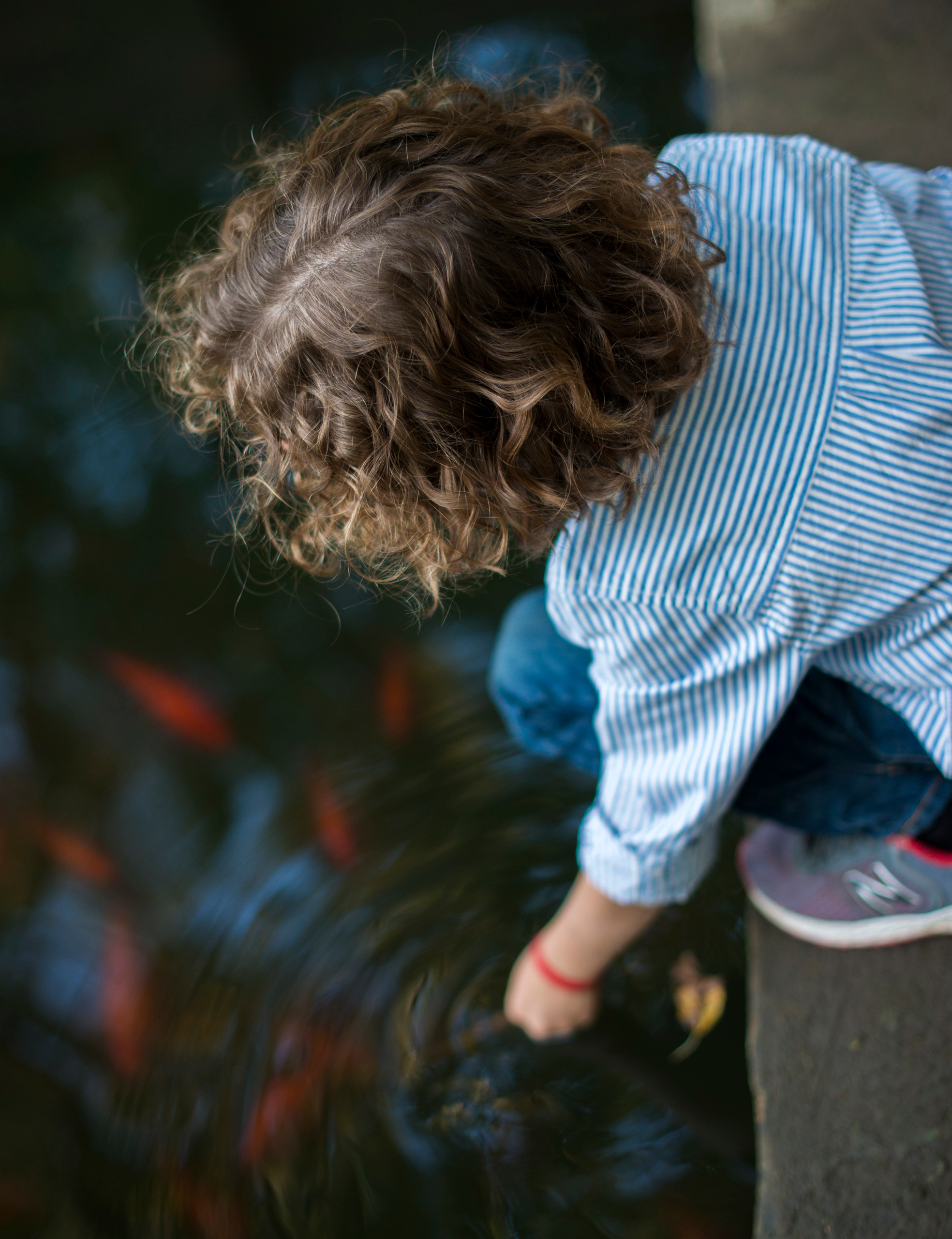 Счастливы вместе. Наргиз Сулейманова - Фотограф в Азербайджане