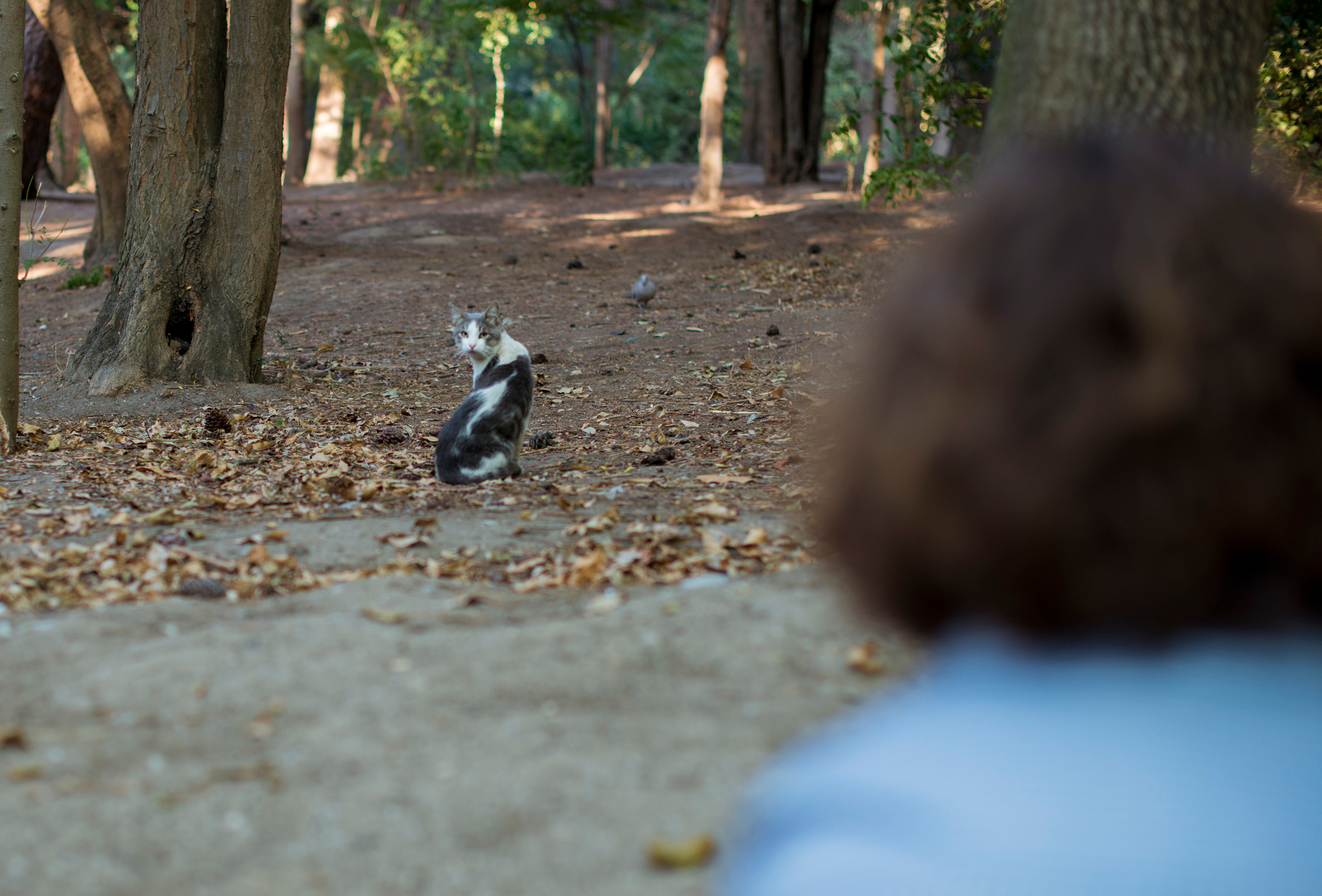 Счастливы вместе. Наргиз Сулейманова - Фотограф в Азербайджане