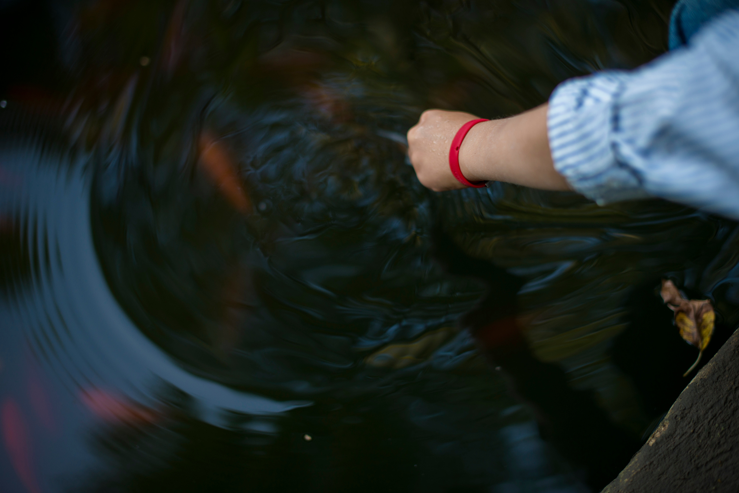 Счастливы вместе. Наргиз Сулейманова - Фотограф в Азербайджане