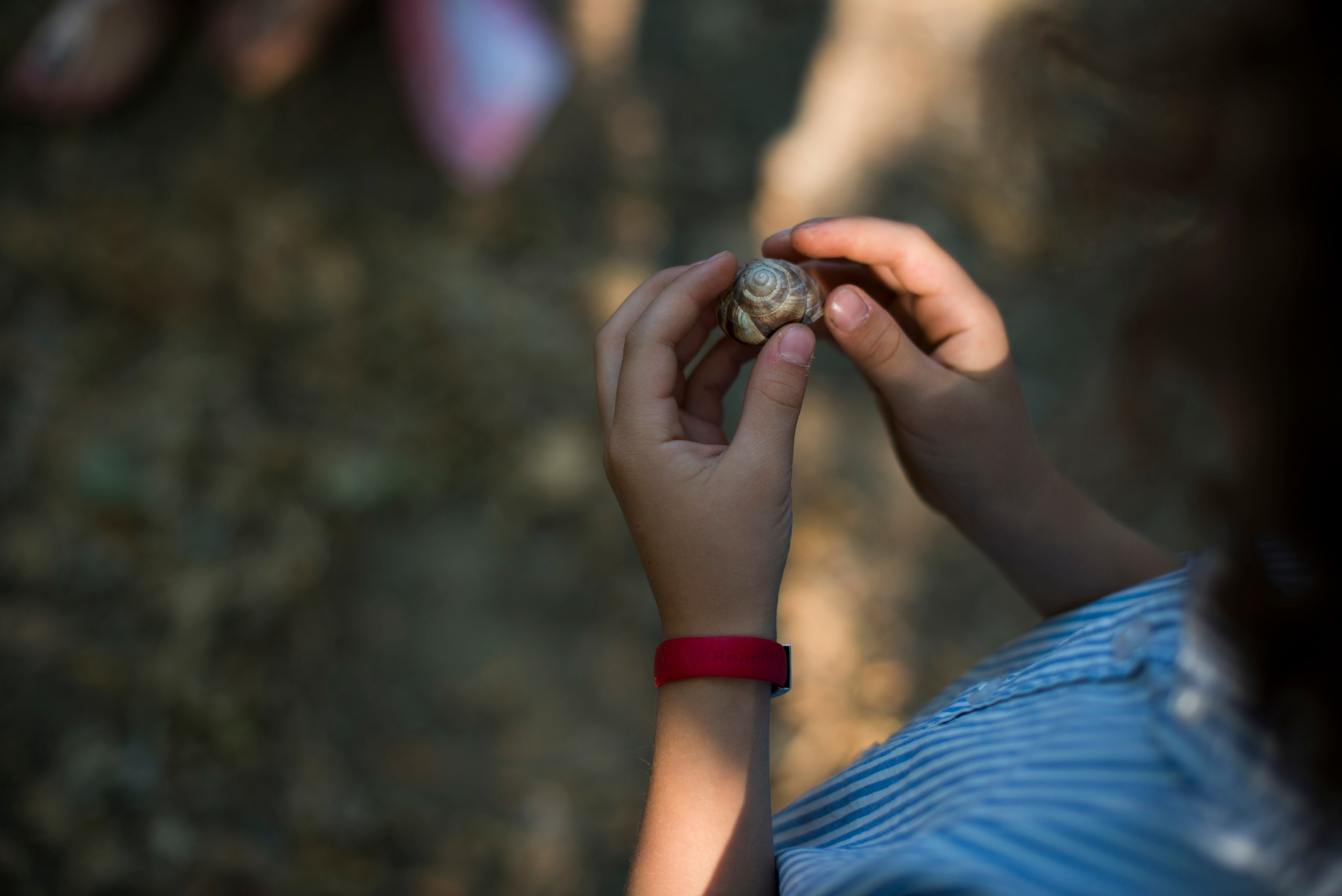 Счастливы вместе. Наргиз Сулейманова - Фотограф в Азербайджане