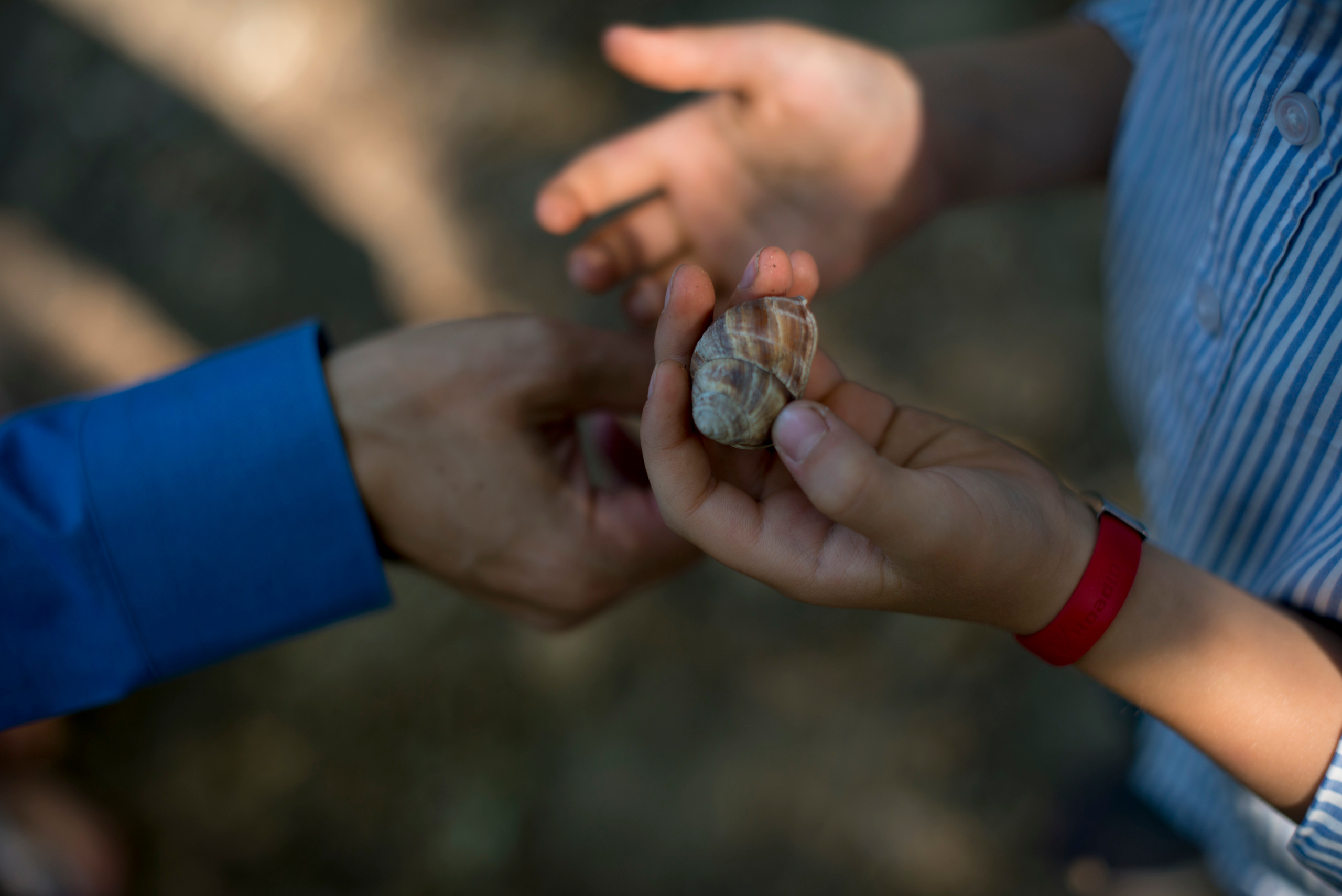 Счастливы вместе. Наргиз Сулейманова - Фотограф в Азербайджане