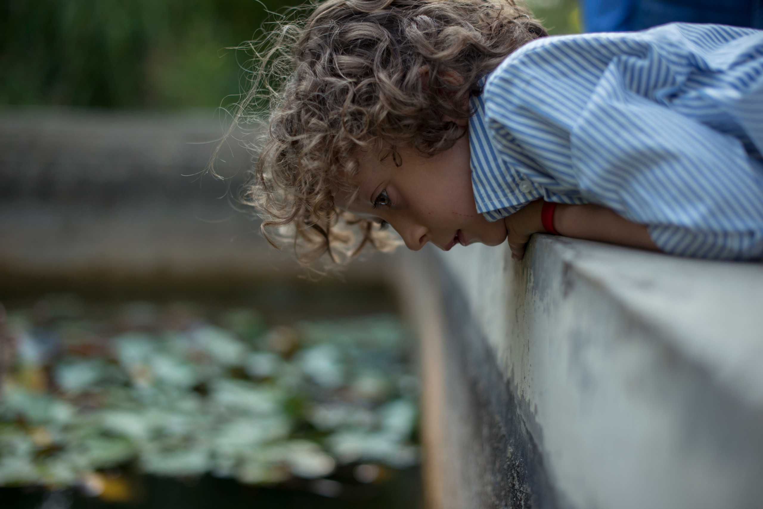 Счастливы вместе. Наргиз Сулейманова - Фотограф в Азербайджане