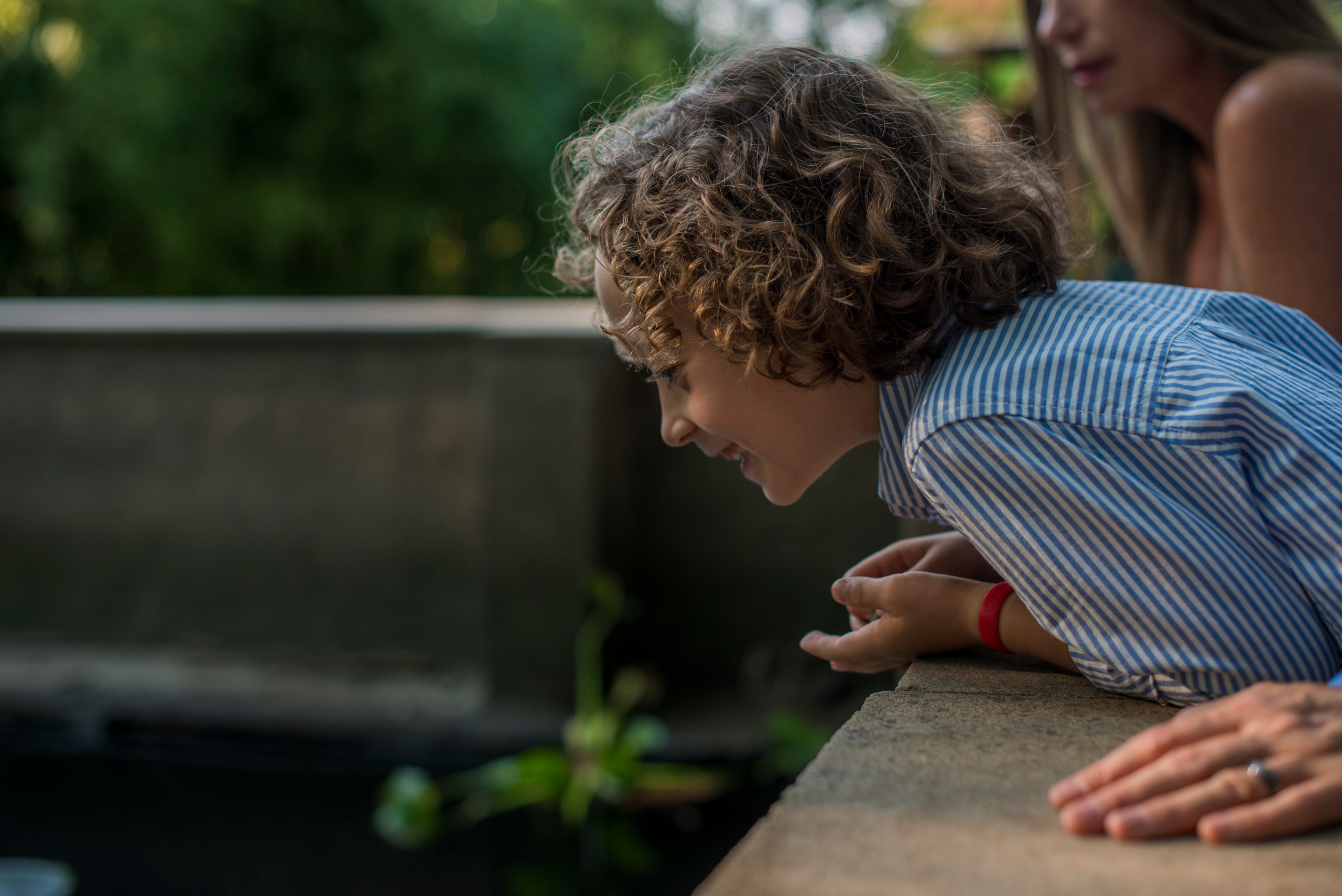 Счастливы вместе. Наргиз Сулейманова - Фотограф в Азербайджане
