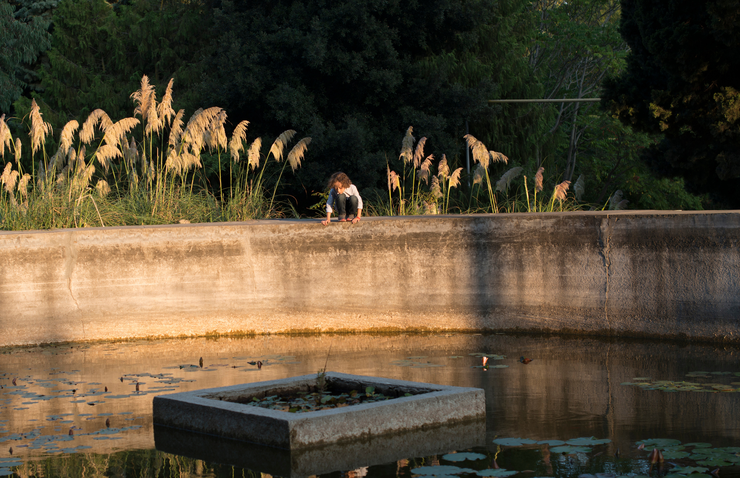 Счастливы вместе. Наргиз Сулейманова - Фотограф в Азербайджане