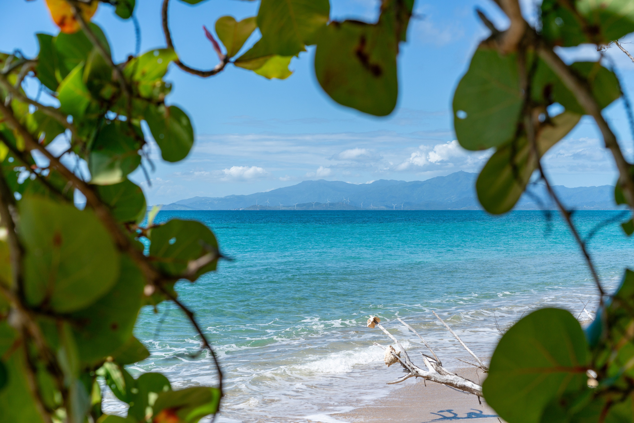 Natural Light. Manny Cruzado Photography