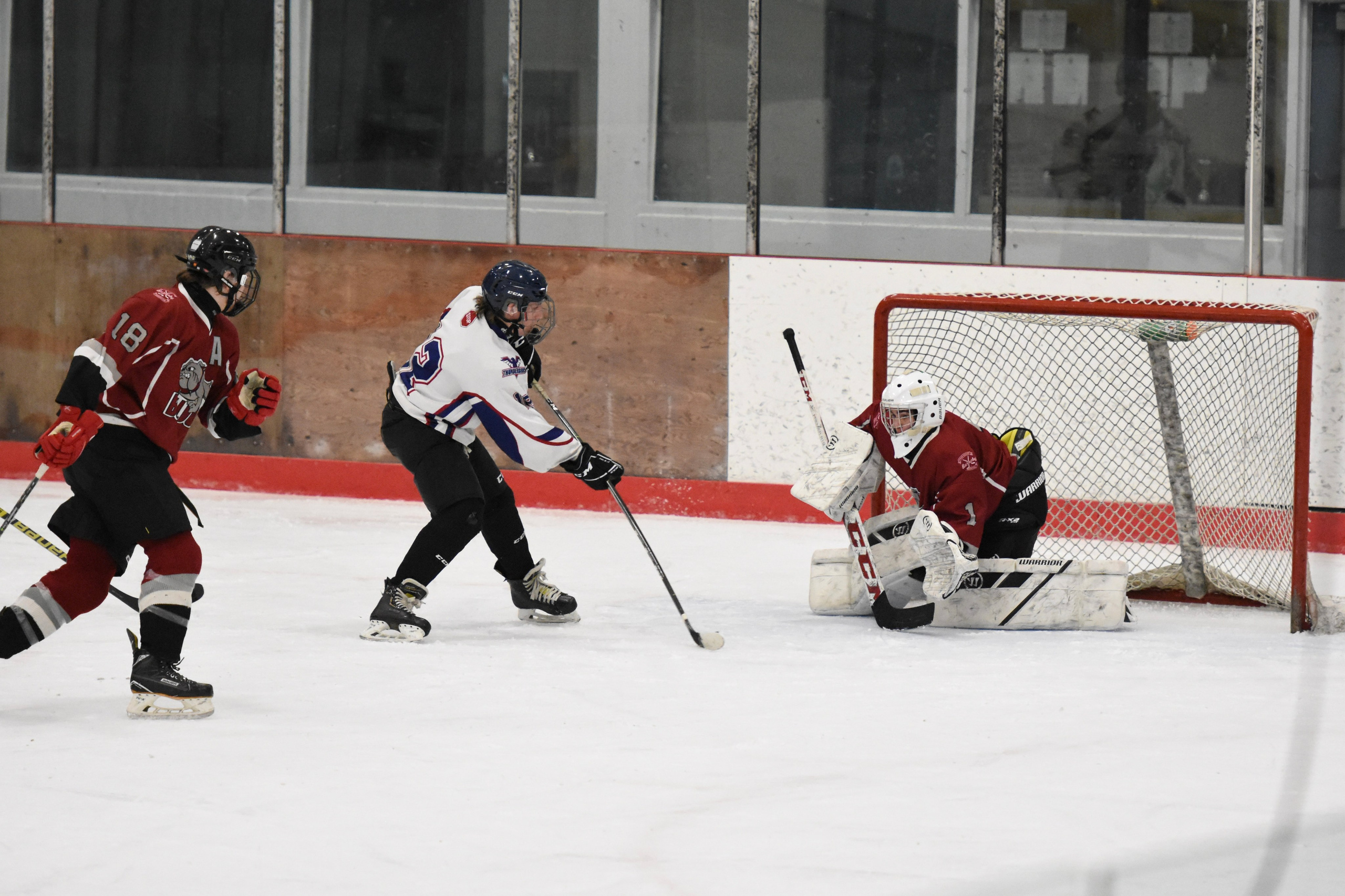 Ice Hockey. Jennifer Lai Media