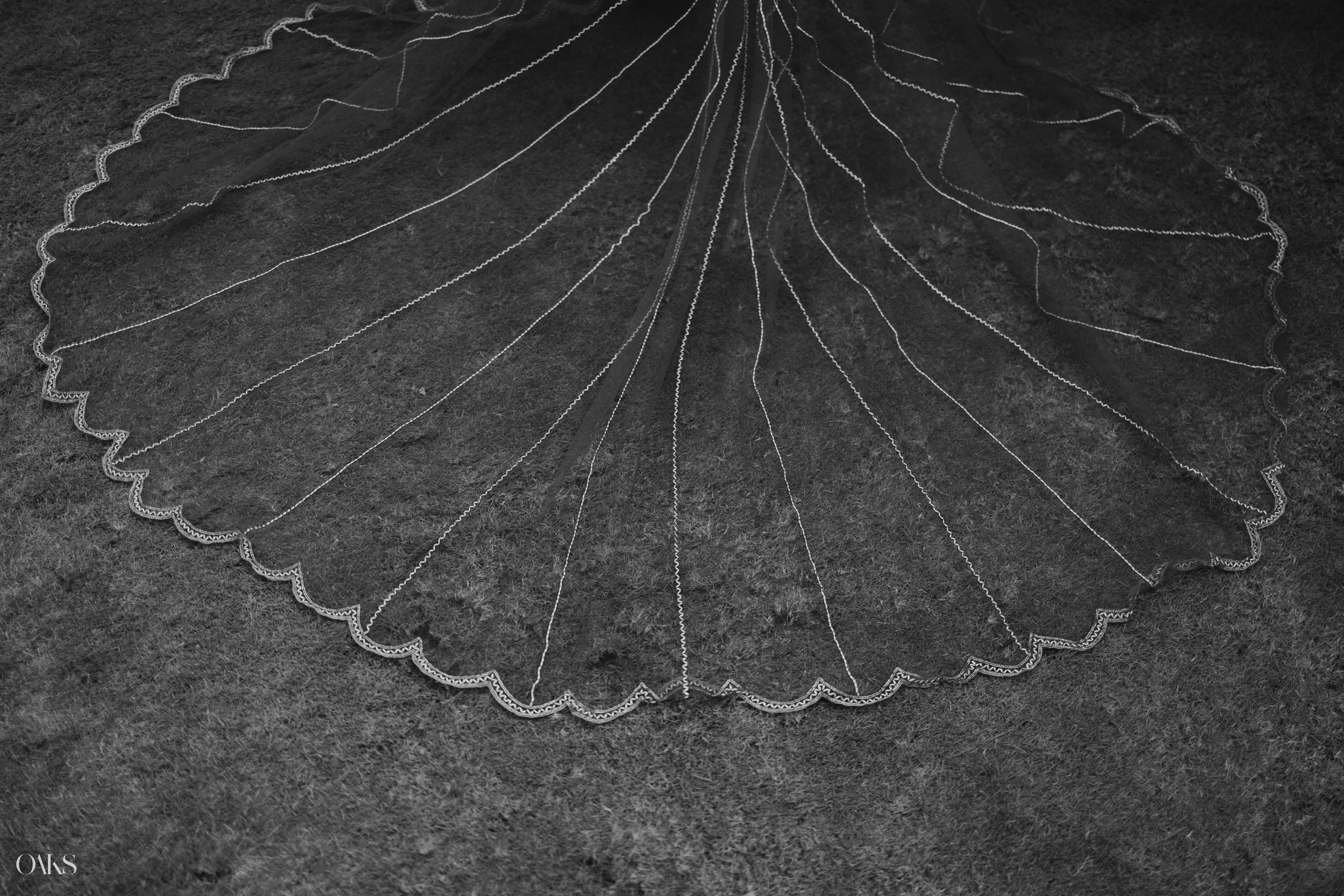 Riya & Pratyush. Wedding & Editorial Photographer | Anandshivadas