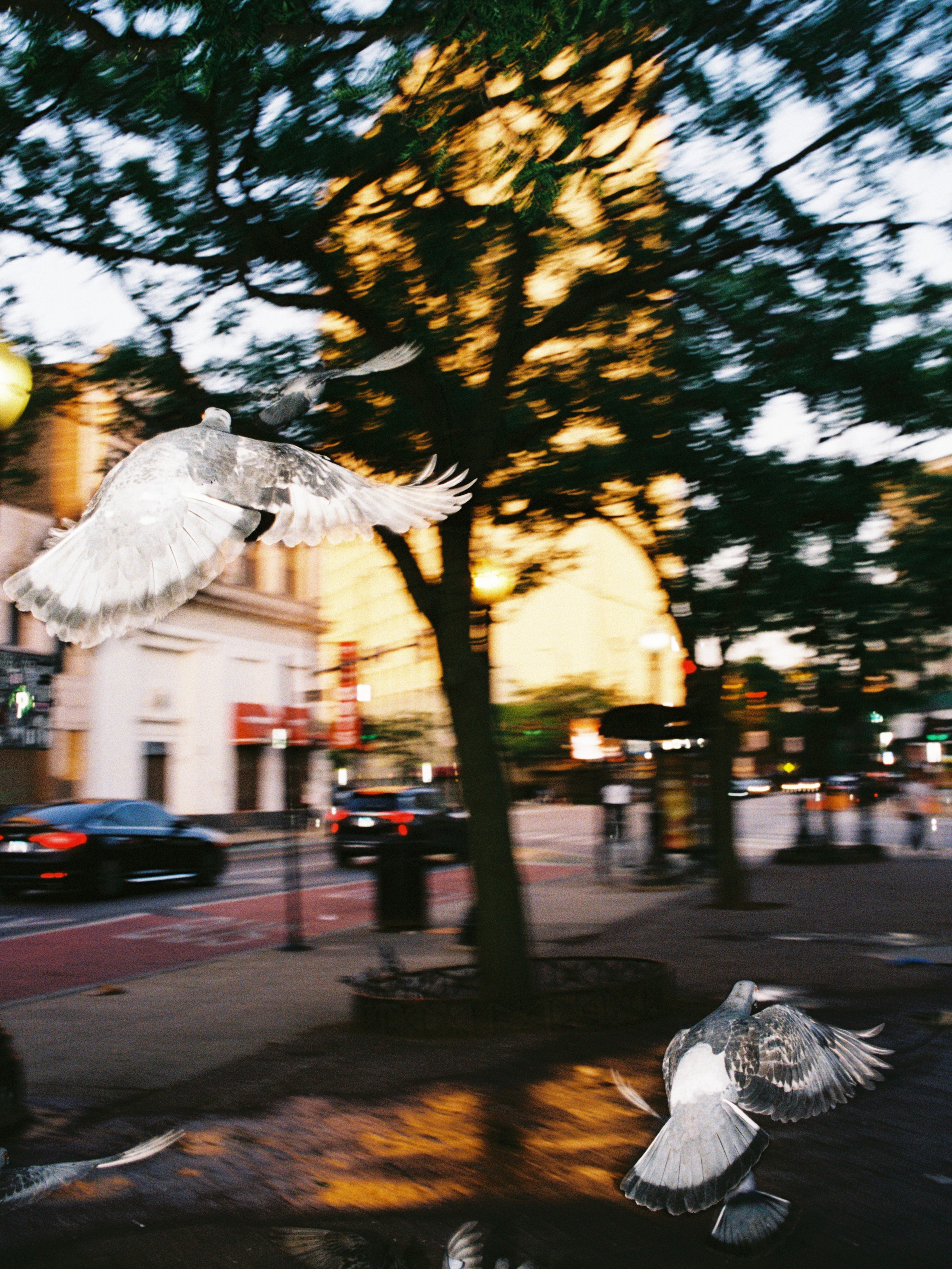 STREET AND LIFESTYLE. 35mm Photography by Brad Zgonena based in Chicago, IL