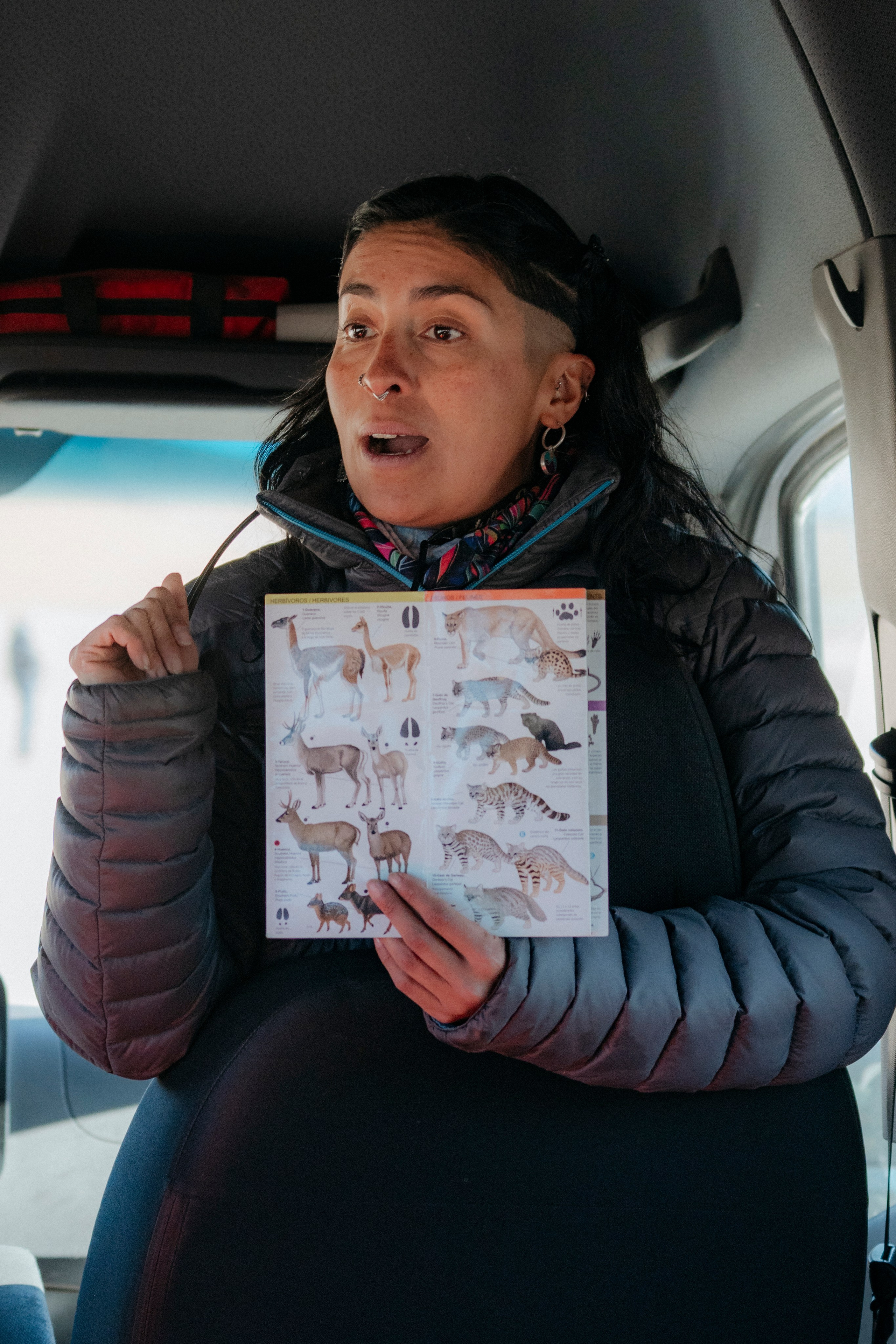 Geyser El Tatio (cobertura en tour privado). Principal