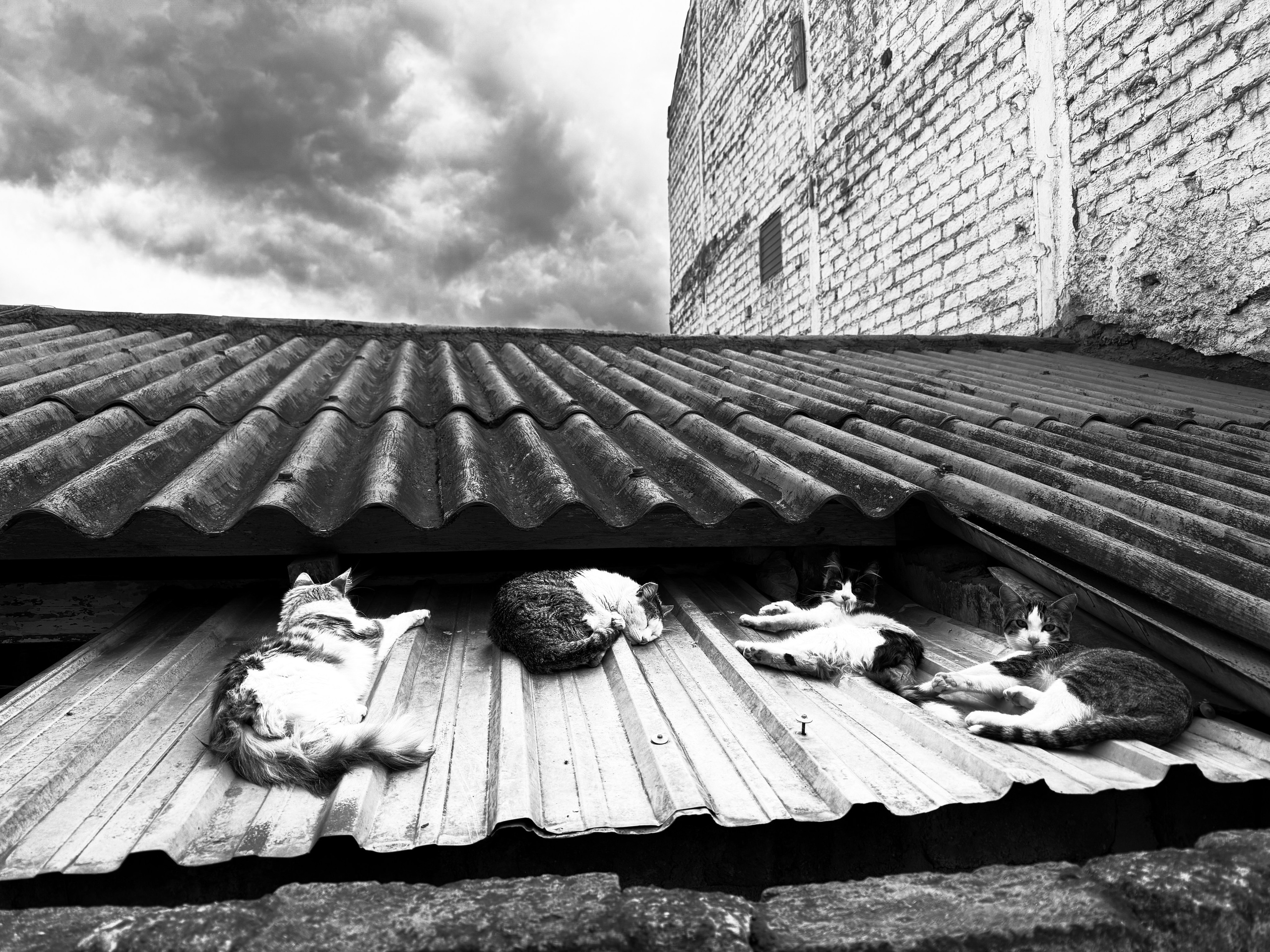 Black and White Street Photography | Jordy Chuquimarca. Jordy Chuquimarca Fotografía