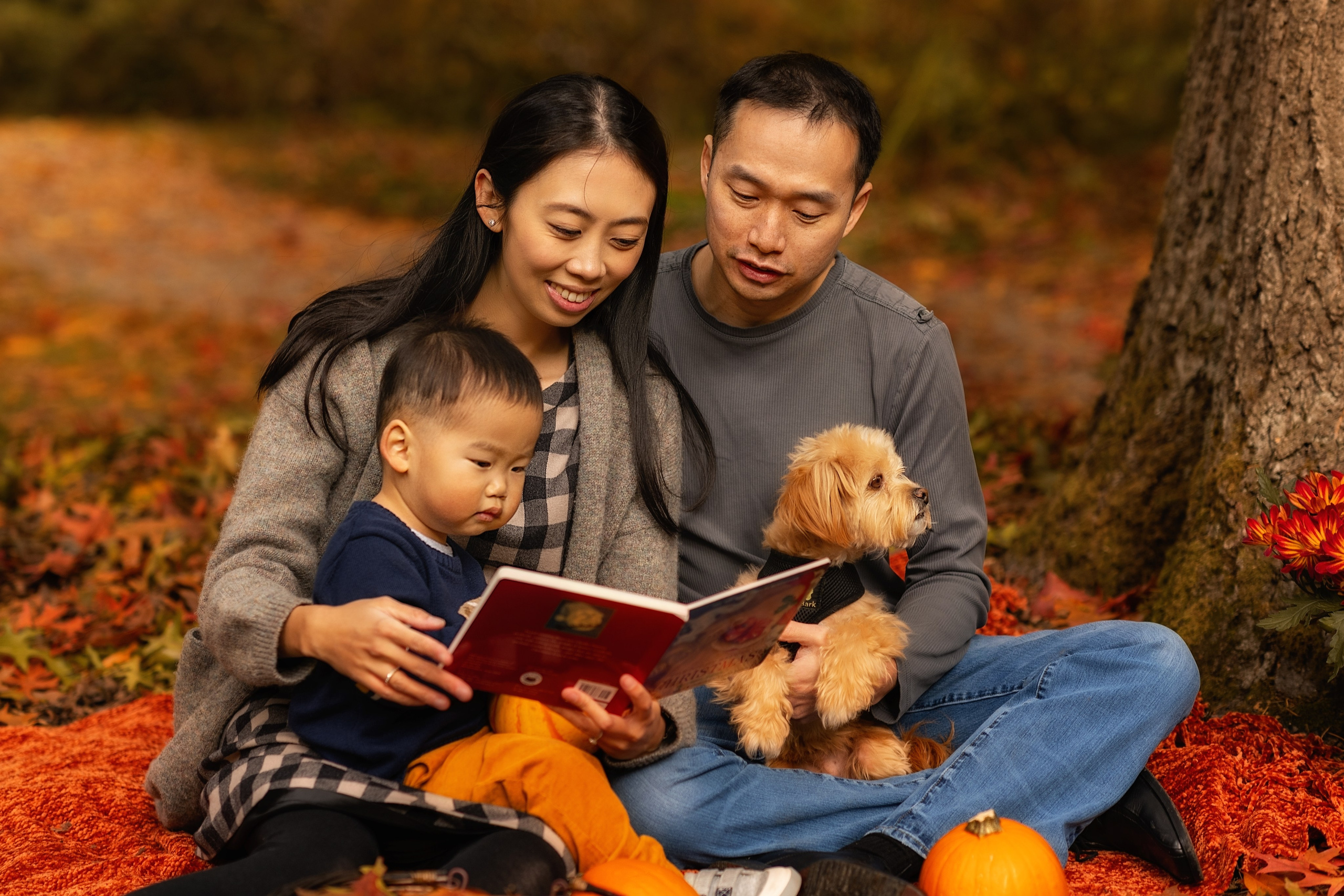 Cathy & Arthur with Marvel son. Wedding & family photography in Seattle area. Helen Michelle photographer