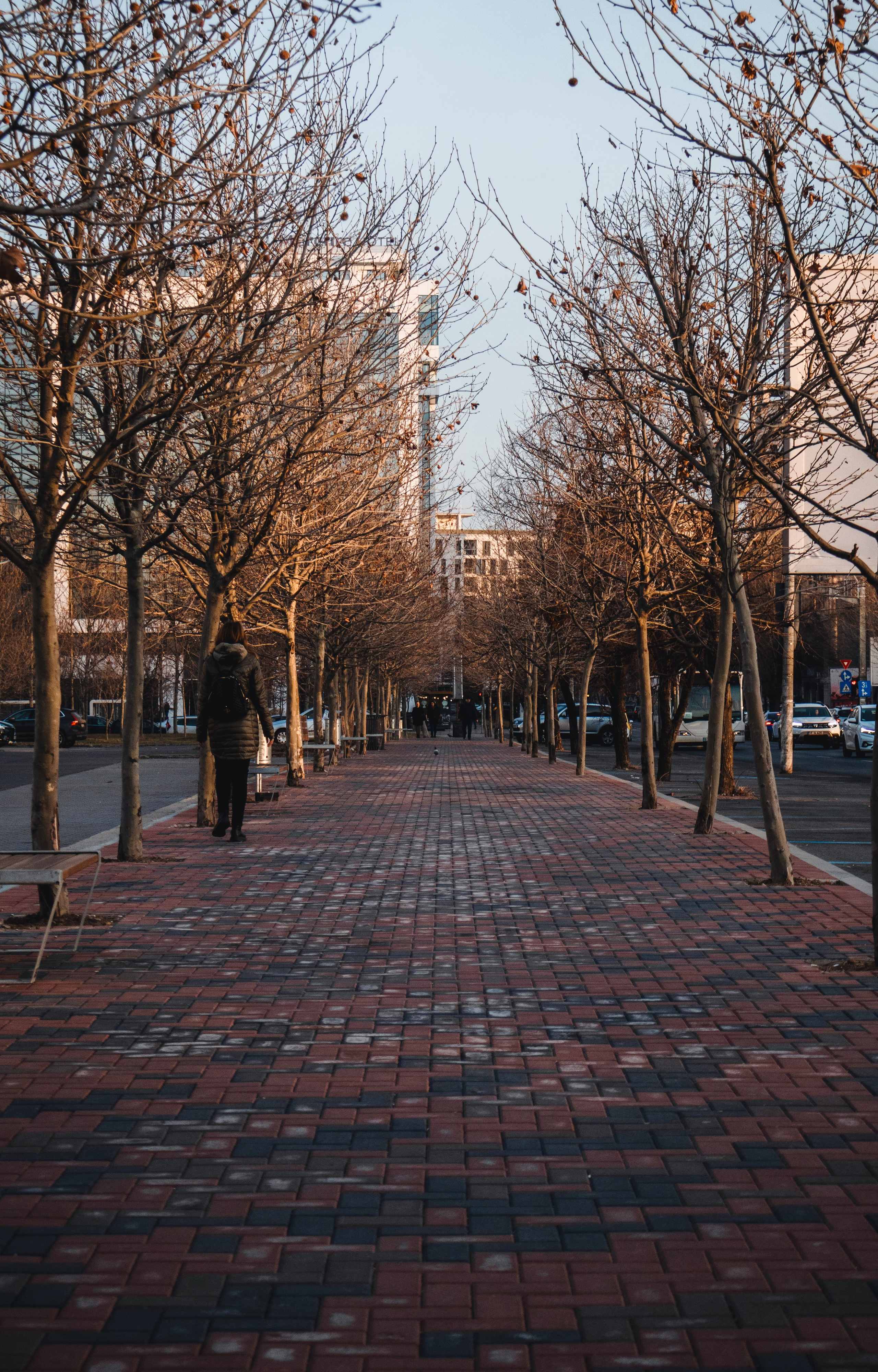 Bucharest. Дизайнер и Фотограф в Кишинёве Бусуйок Станислав