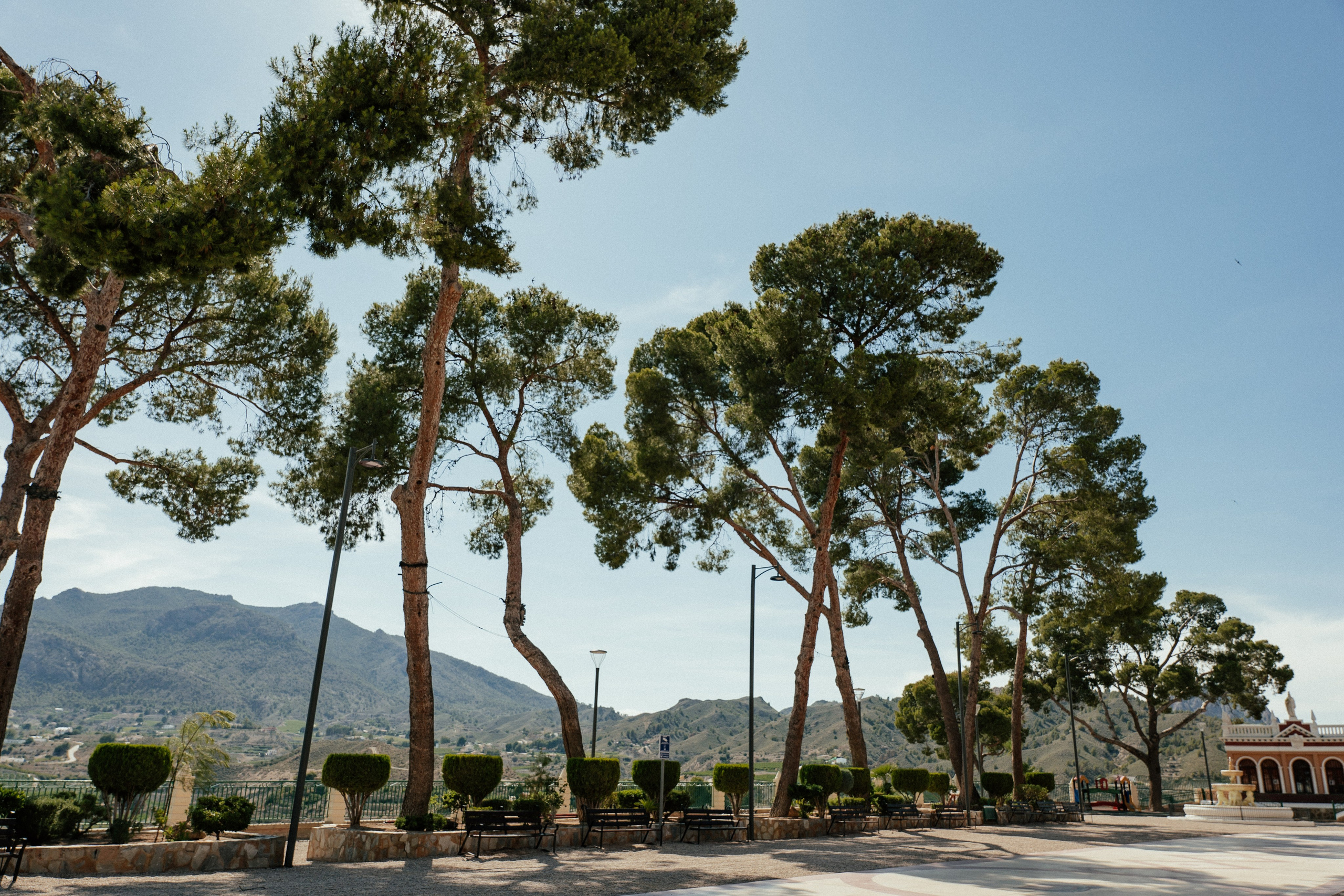 Gonzalo & Maria (Murcia)