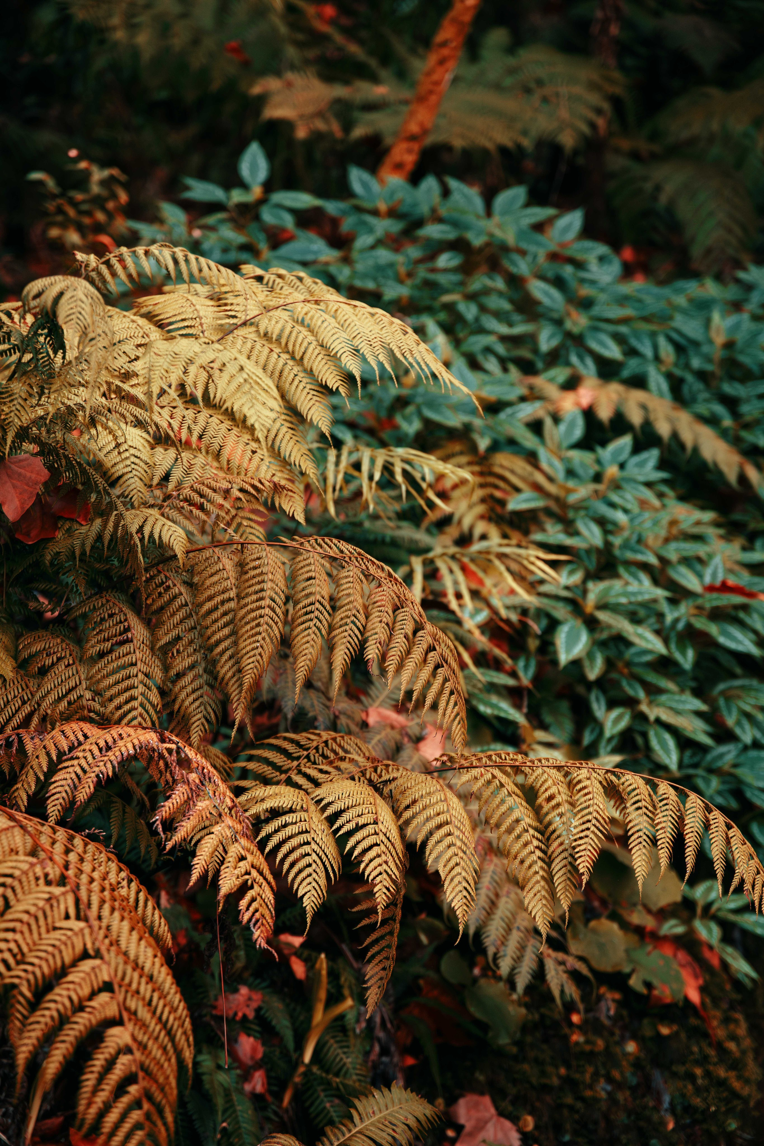 Fotografia de Casamento - Ricardo & Mary Pictures. Filmes e Fotografia Cinematográfica de Casamento em Portugal | Ricardo & Mary Pictures