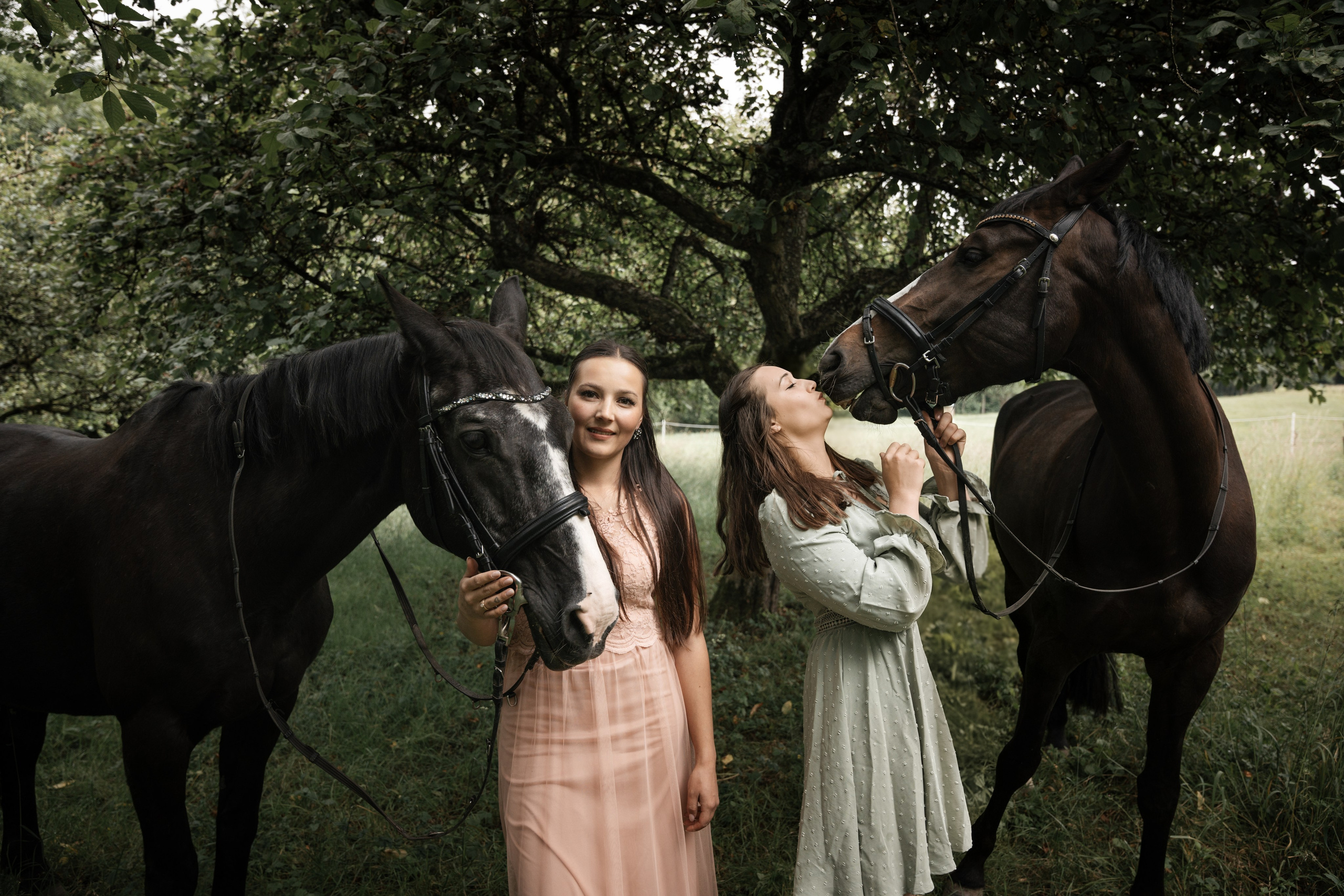 2 + 2 beauties. Elena Seewald