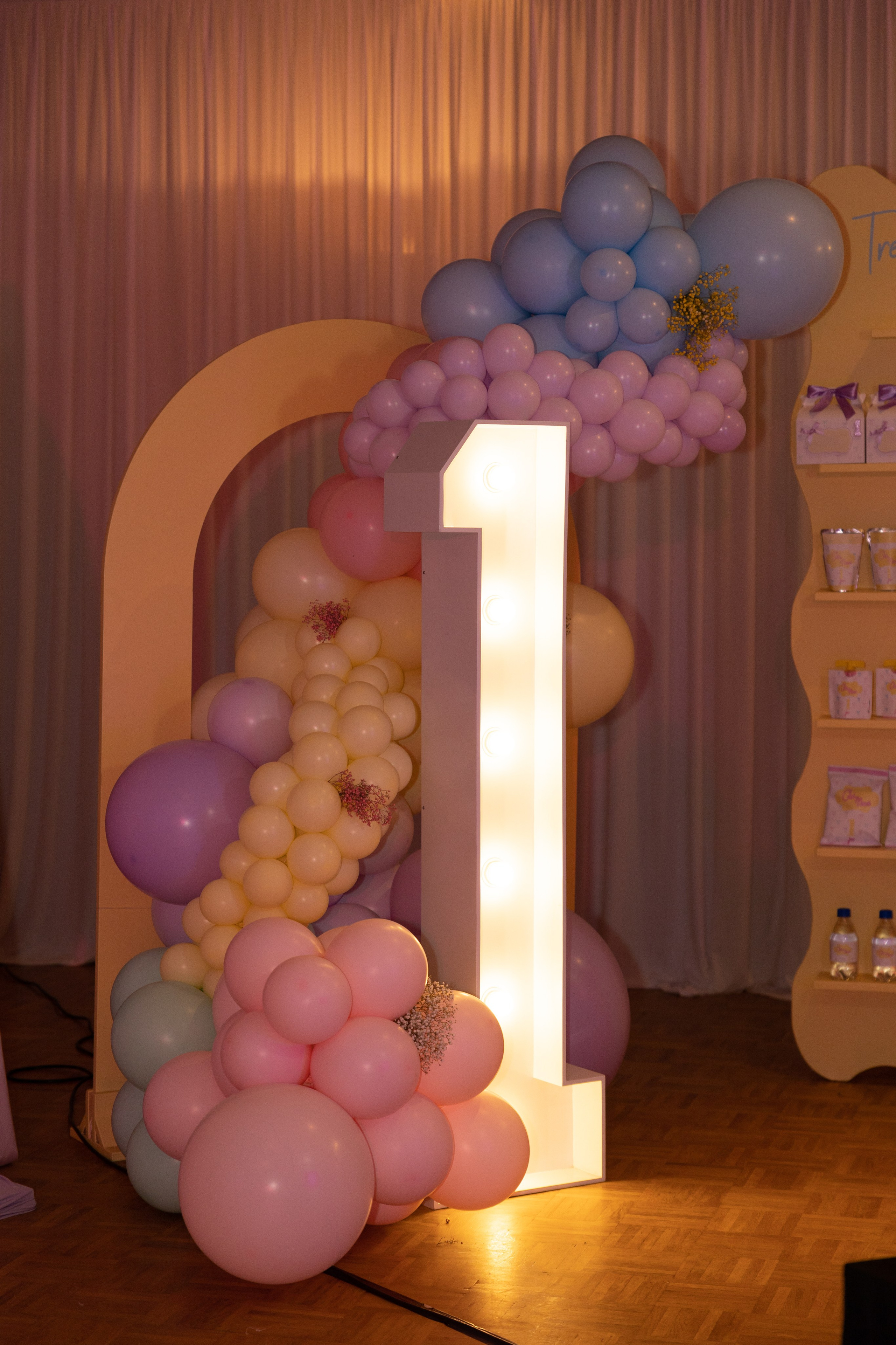 1 st Birthday. Portrait and Family Photographer in Netherlands