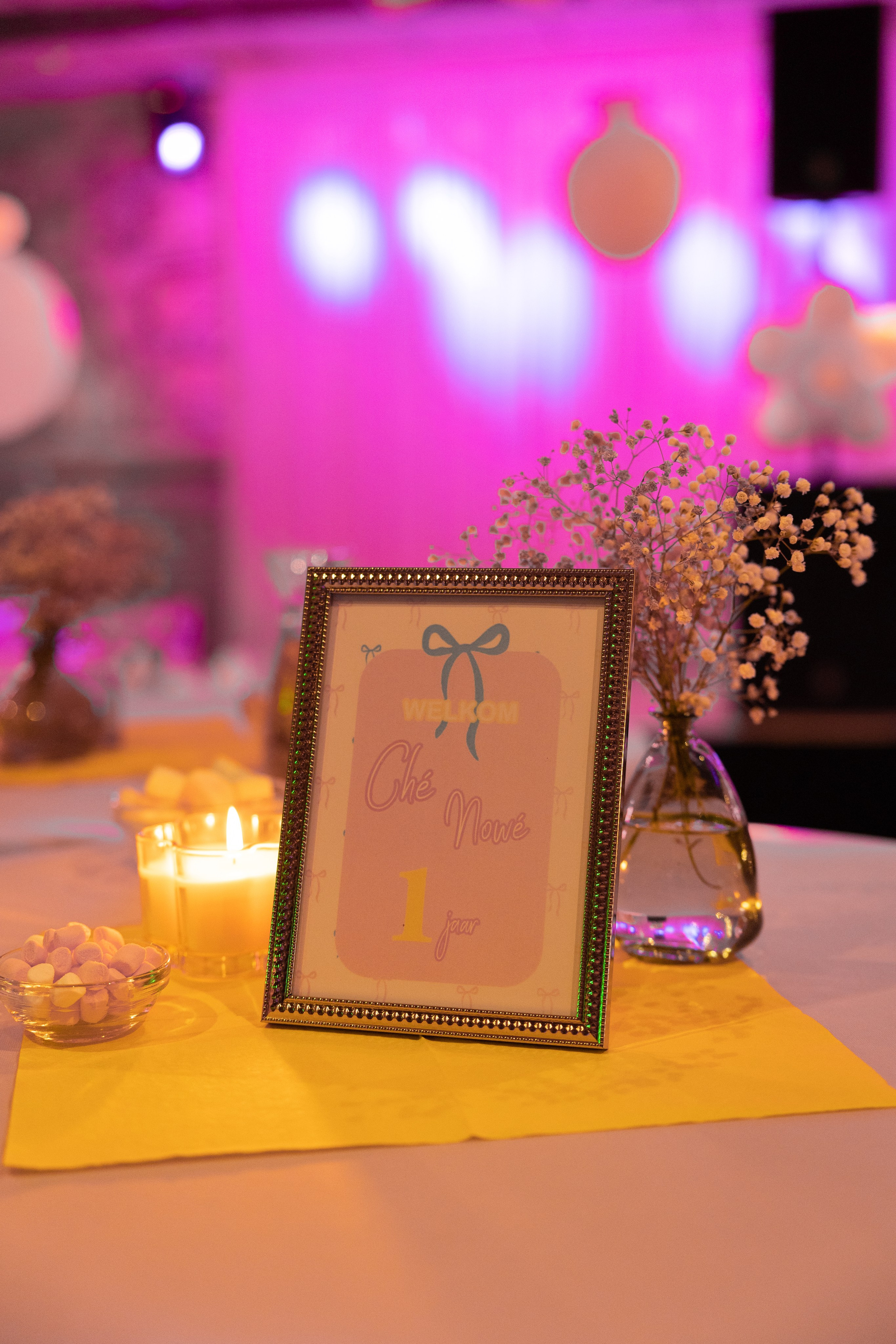 1 st Birthday. Portrait and Family Photographer in Netherlands