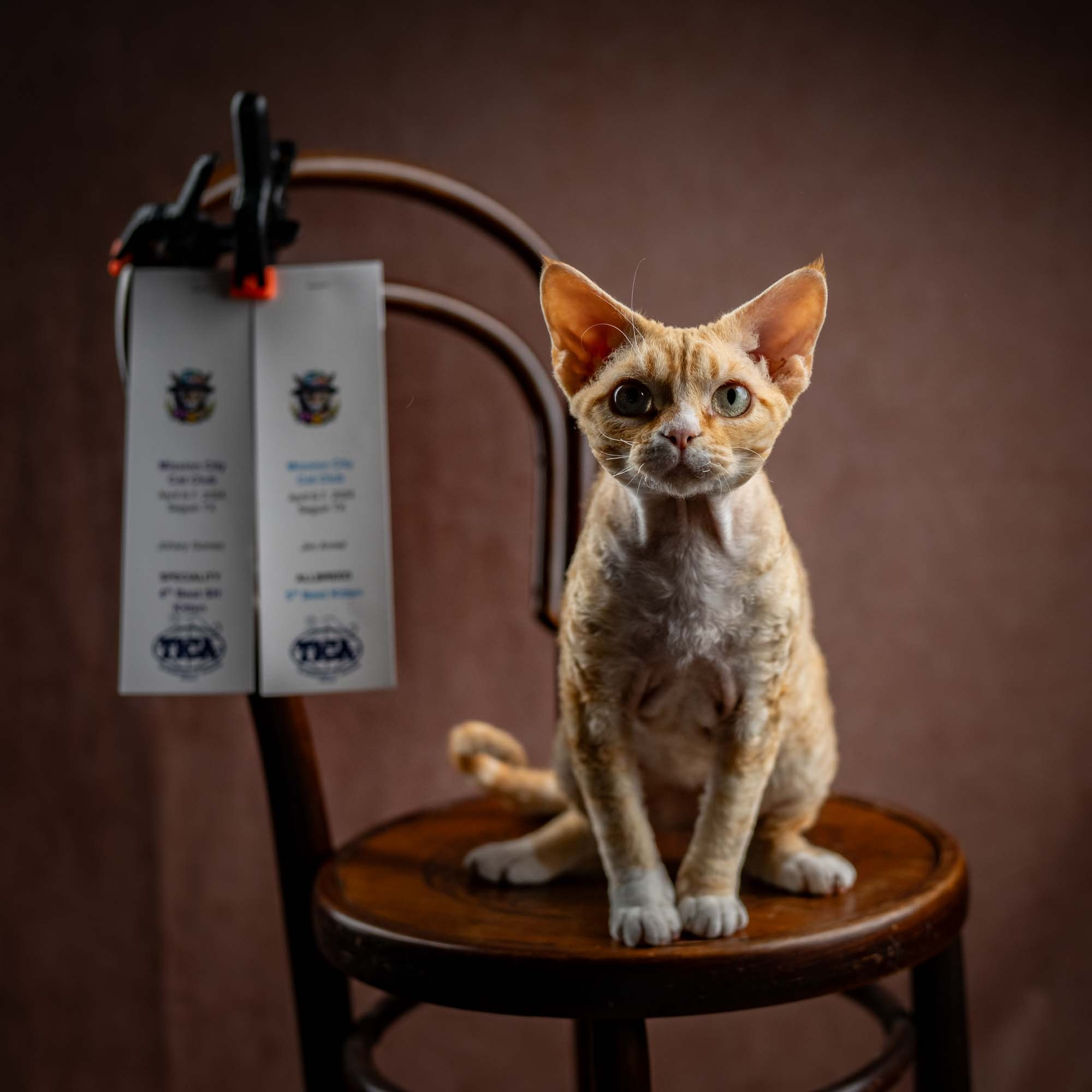 Choux. Photographer Irina Kozhemyakina. Houston