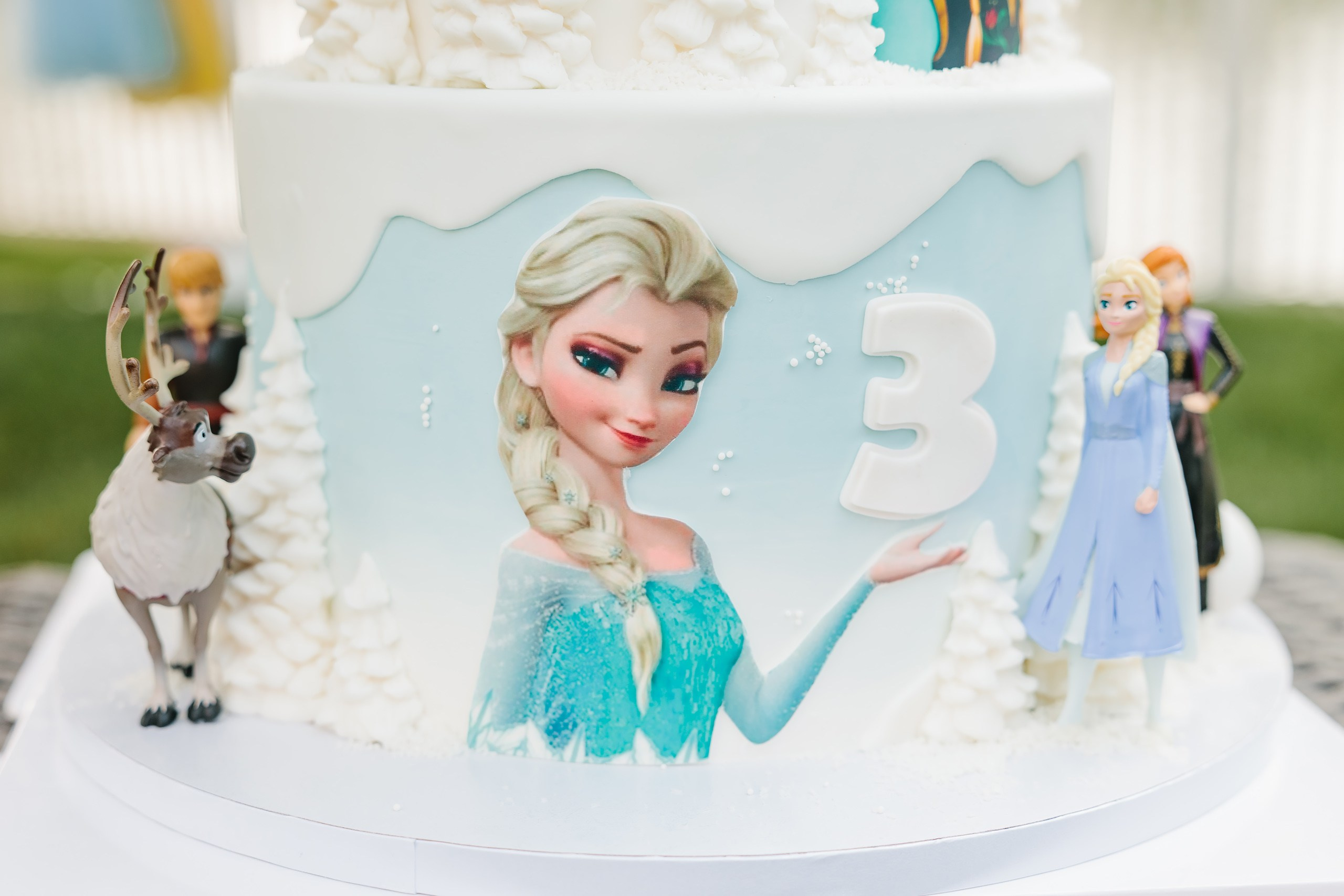 07.27.2024 Birthday Party. Wedding family event photographer in Chicago Nick Yushevich