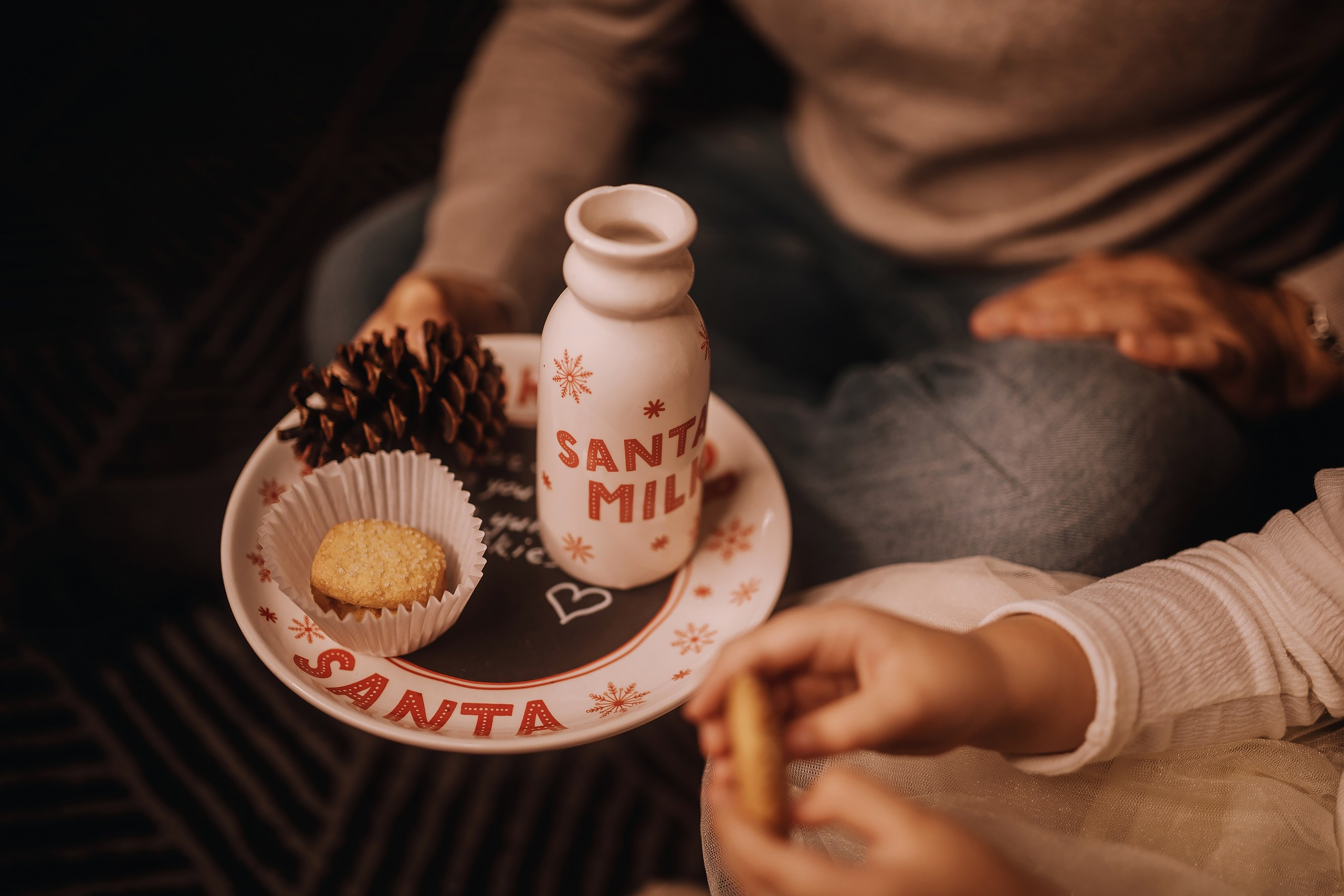 25.11.2023 Christmas Photoshoot. Wedding family event photographer in Chicago Nick Yushevich