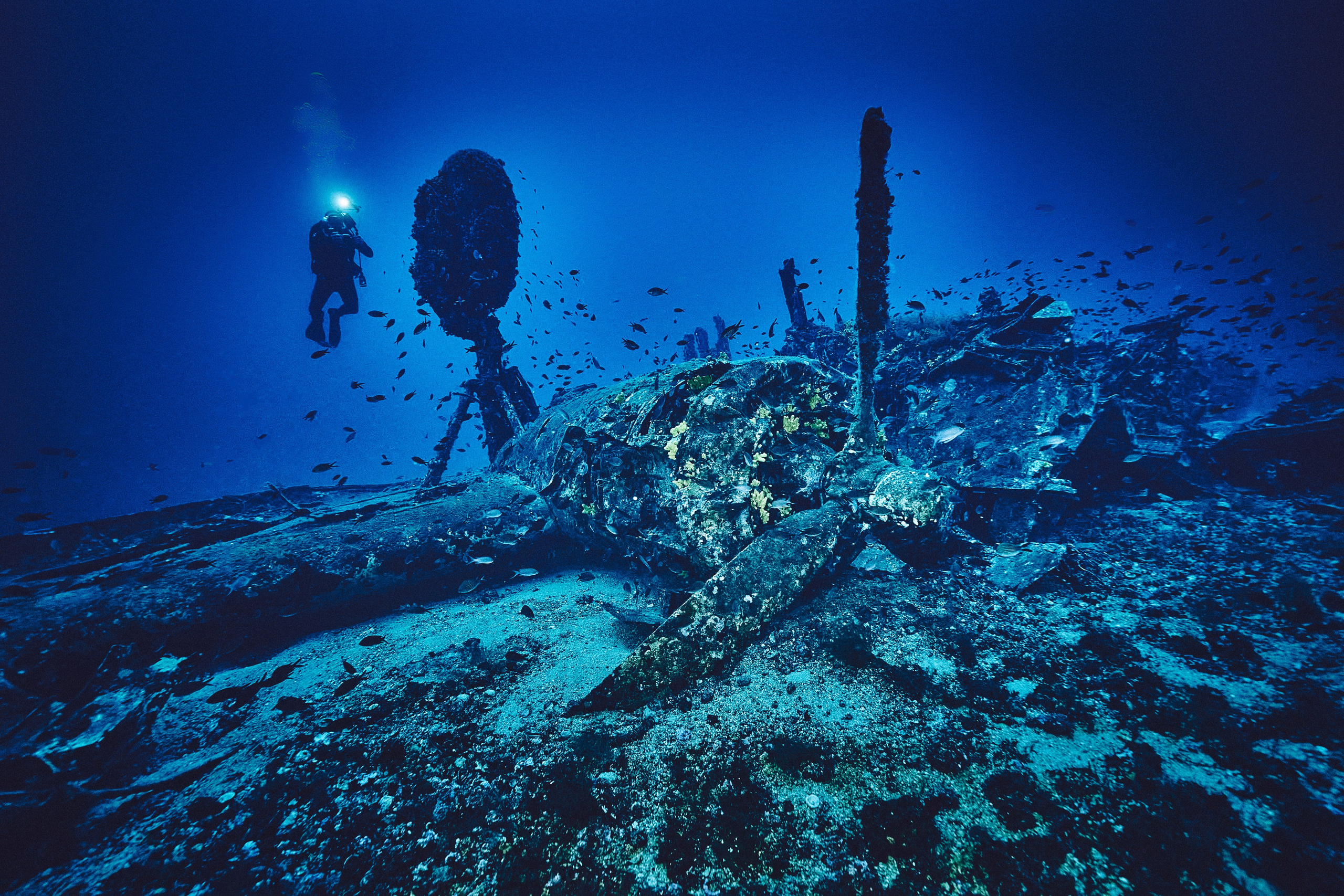 Fotograf podwodny Andriej Szypilow. Wrak samolotu B-24 Liberator „Tulsamerican” spoczywa na dnie Adriatyku w pobliżu wysepki Veli Paržanj, położonej na południowy wschód od wyspy Vis. Samolot był ostatnim egzemplarzem wyprodukowanym w fabryce Douglas w Tulsie w stanie Oklahoma, a za jego powstanie zapłacili pracownicy fabryki i okoliczni mieszkańcy, nadając mu przezwisko „Tulsamerican” (ten egzemplarz - między innymi - zrzucał zaopatrzenie dla Powstania Warszawskiego).