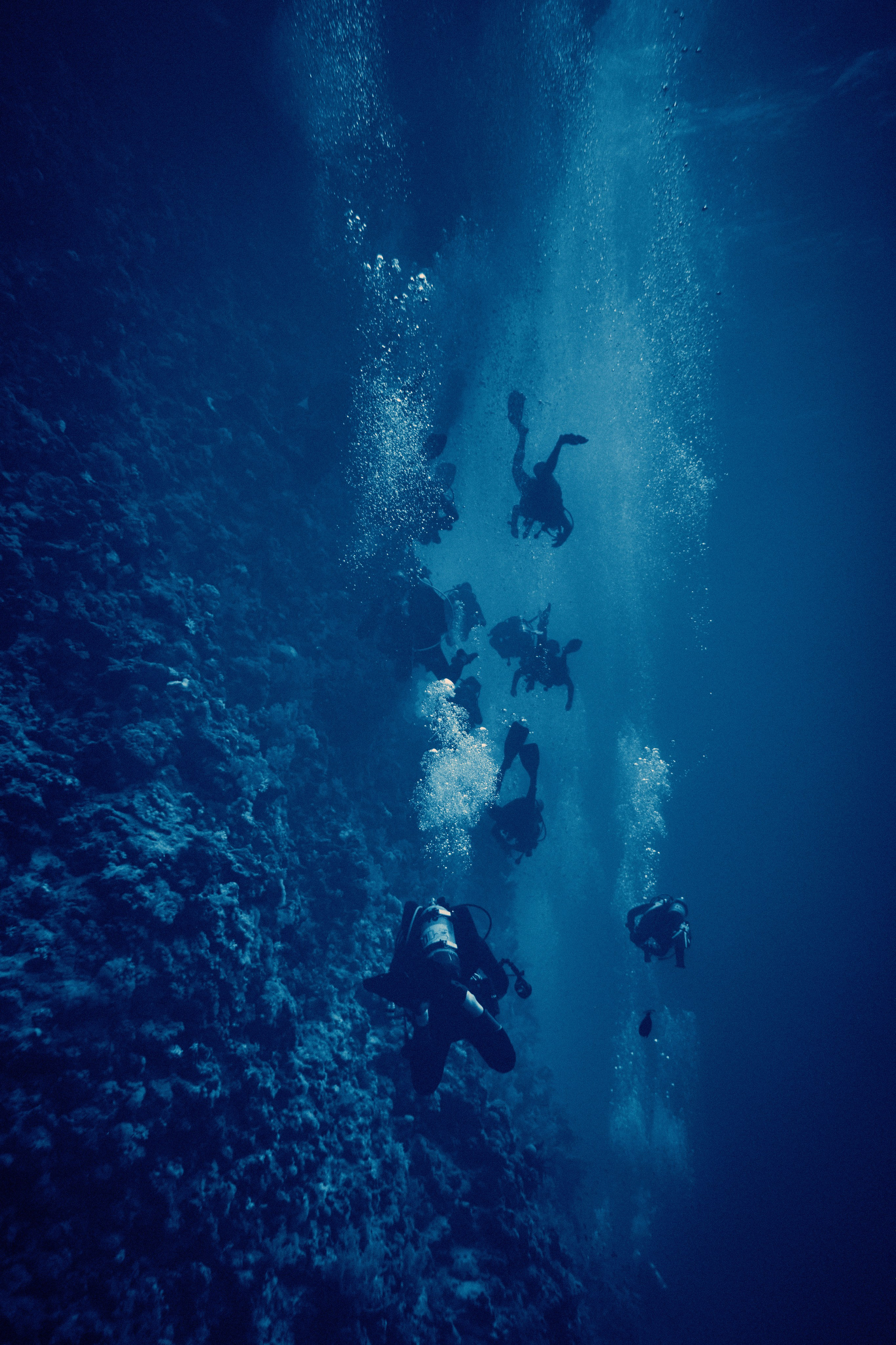 2023-11 - Diving Safari Deep South Egypt. Andriej Szypilow — Photography & Videography