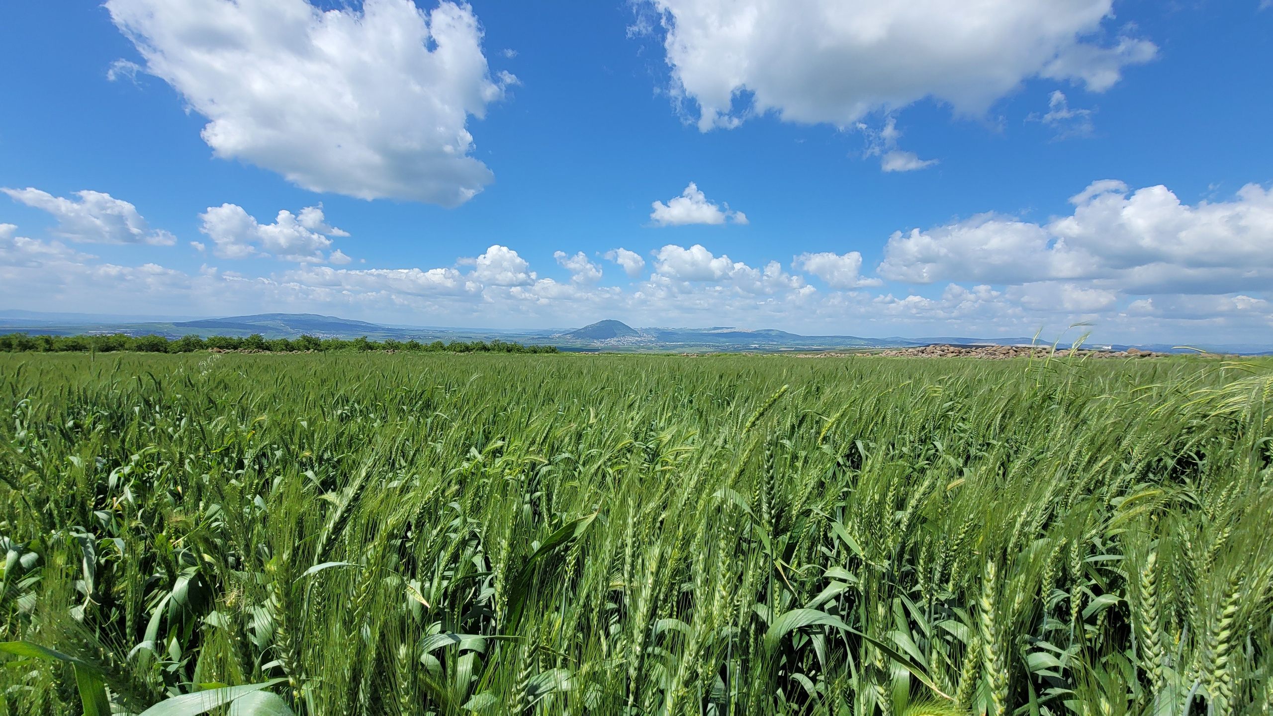 Реконструкционный поход Shvil Israel 2024 — Клуб «Нортман». КРиС «Нортман»