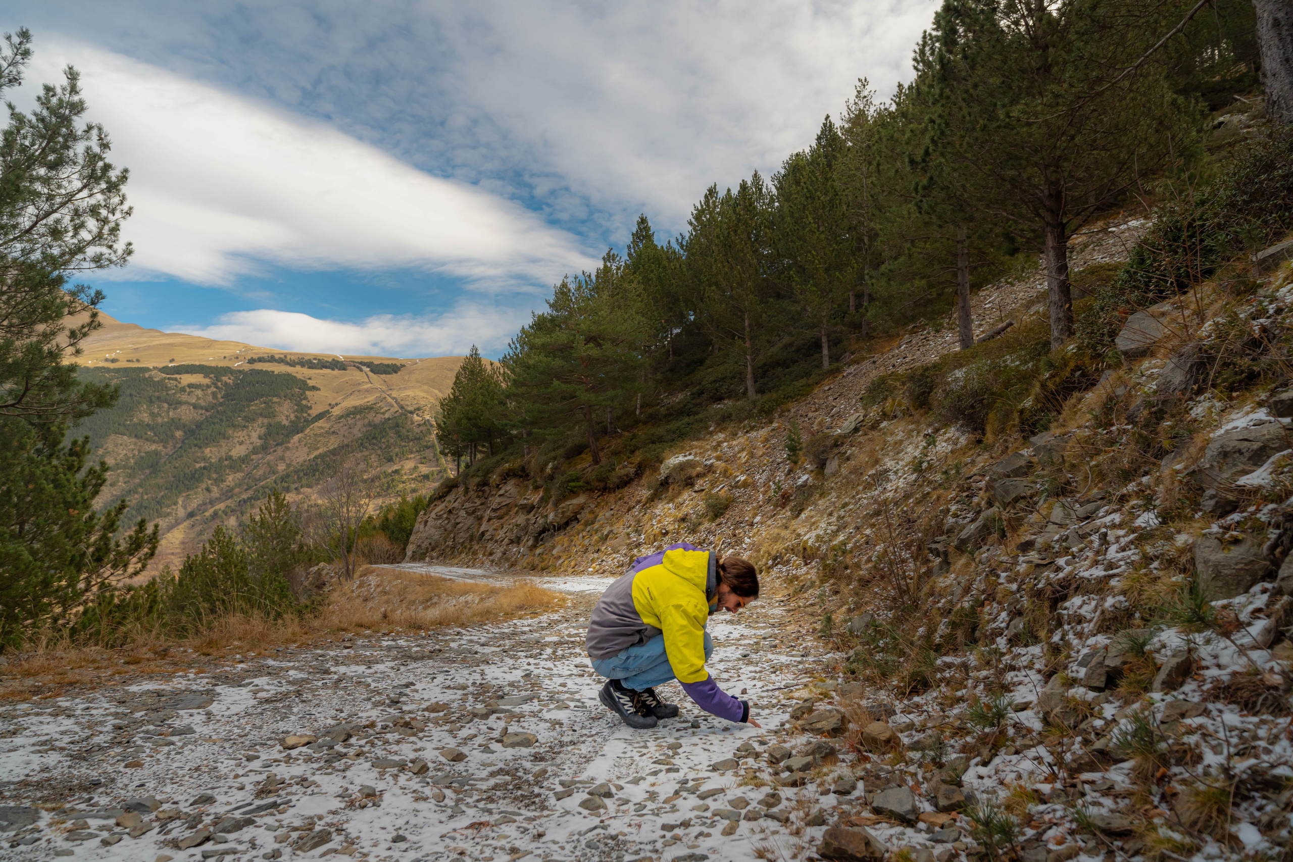 Filia. Alba del Norte Studio